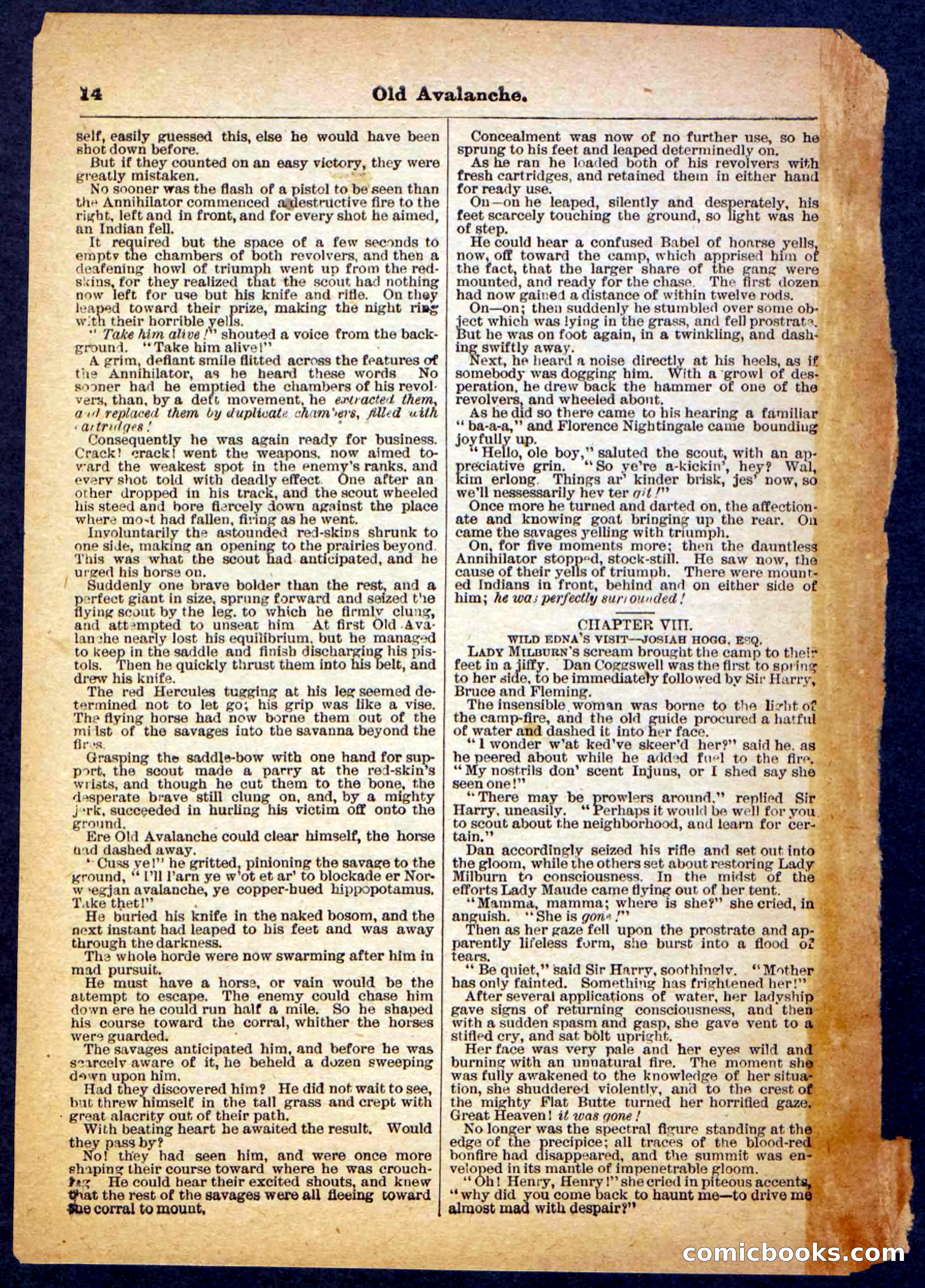 Beadle's Pocket Library, No. 26 — page 14 of 32