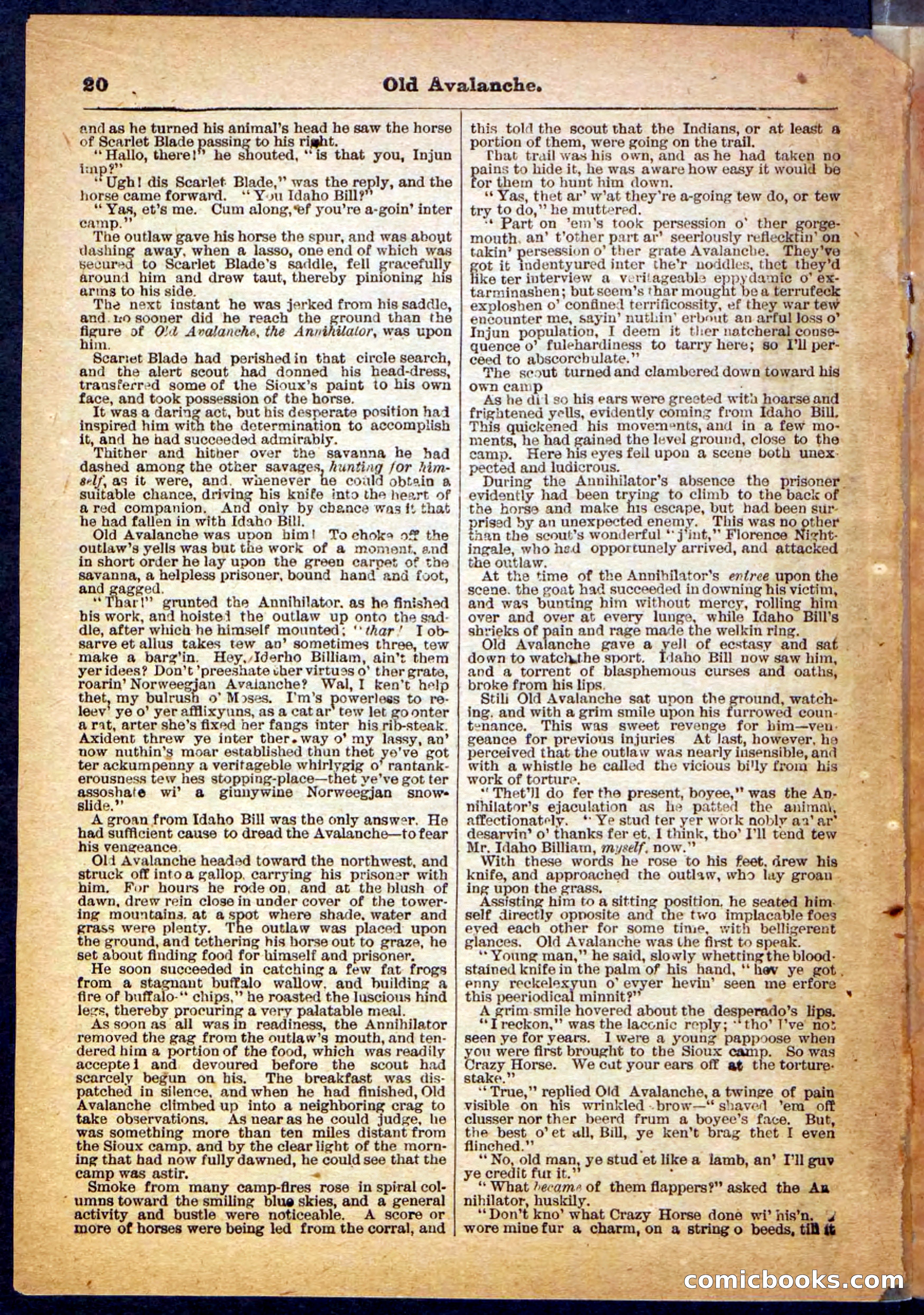 Beadle's Pocket Library, No. 26 — page 20 of 32