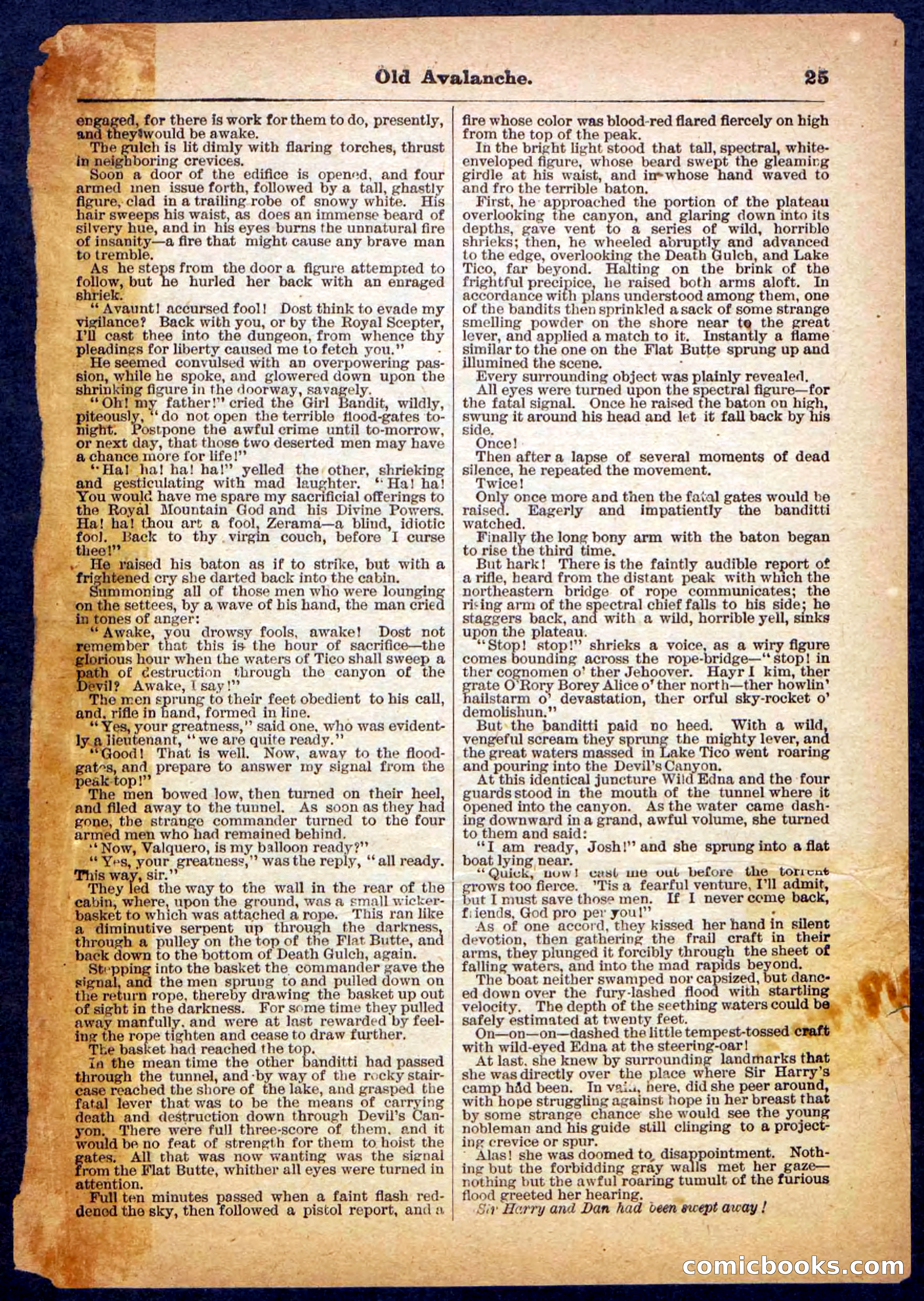 Beadle's Pocket Library, No. 26 — page 25 of 32