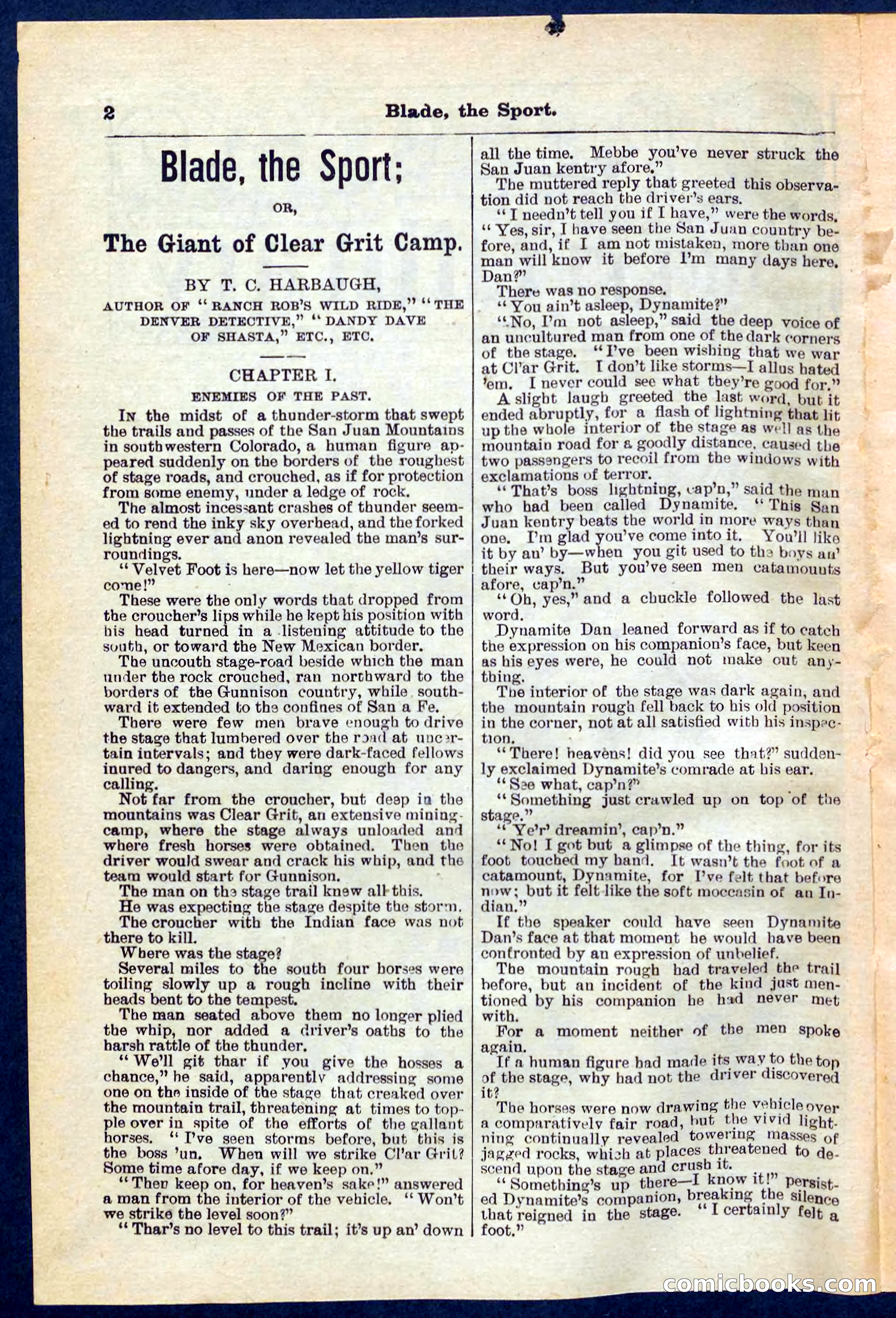 Beadle's Pocket Library No. 261 — page 2 of 32