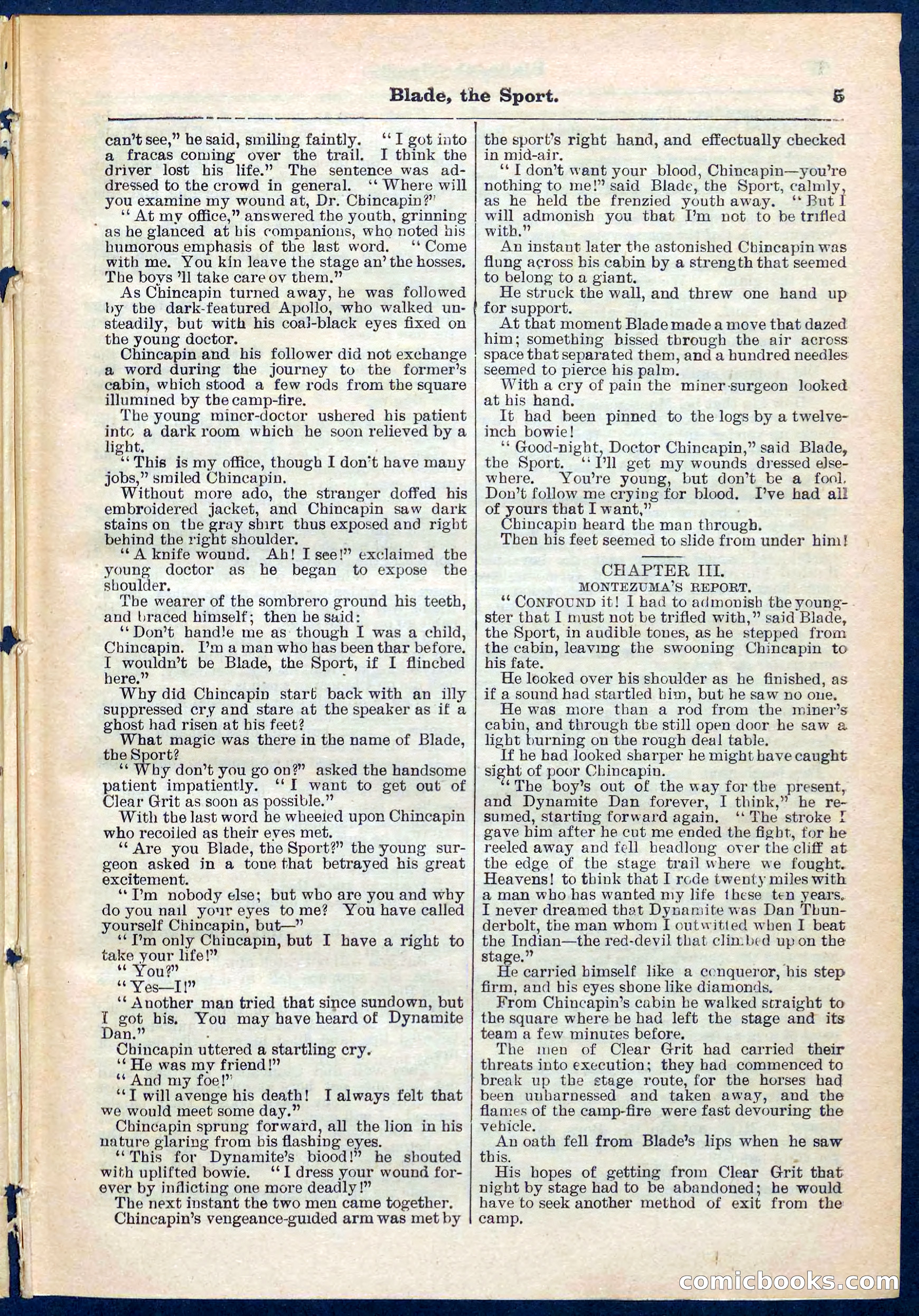 Beadle's Pocket Library No. 261 — page 5 of 32