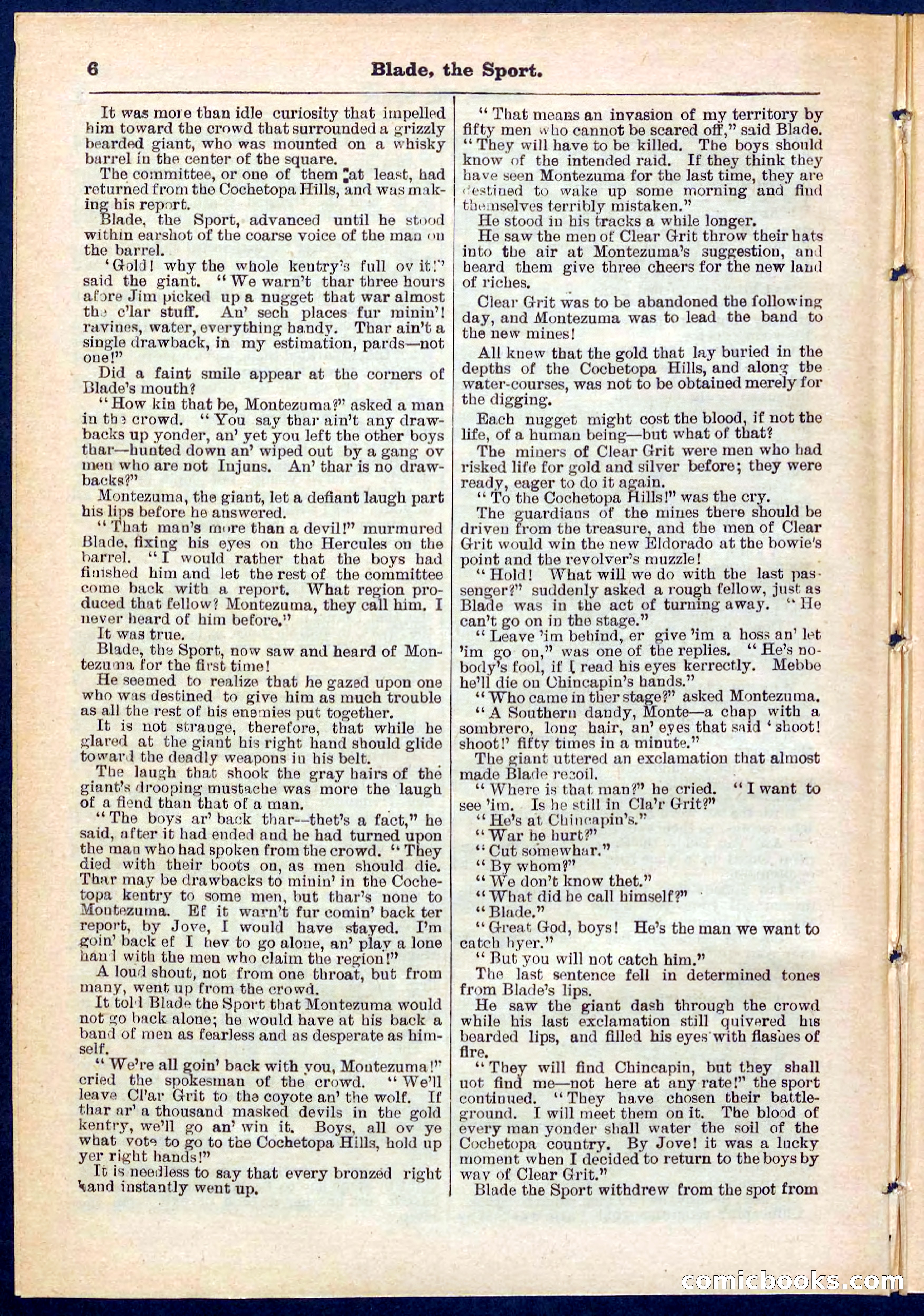 Beadle's Pocket Library No. 261 — page 6 of 32