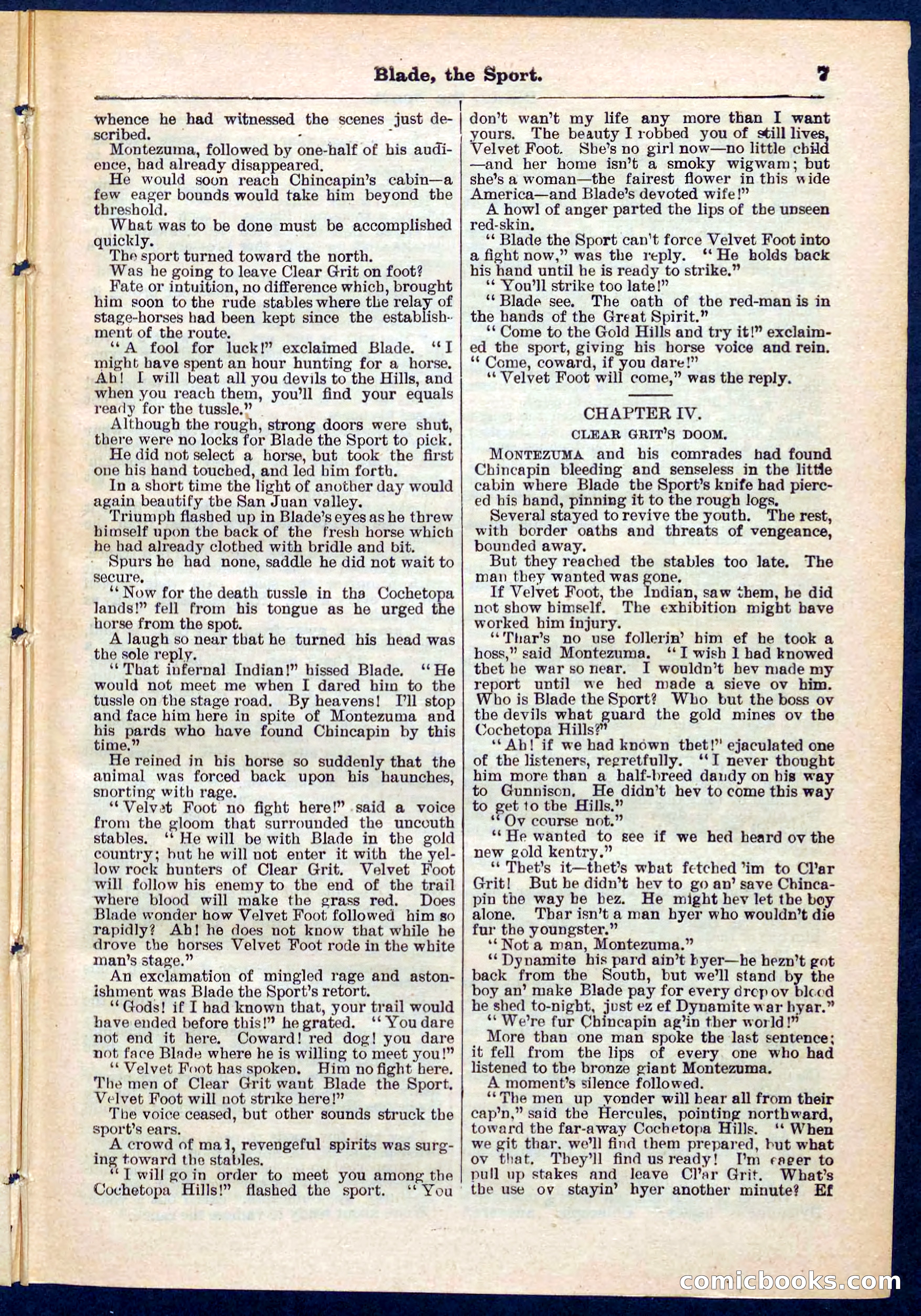 Beadle's Pocket Library No. 261 — page 7 of 32