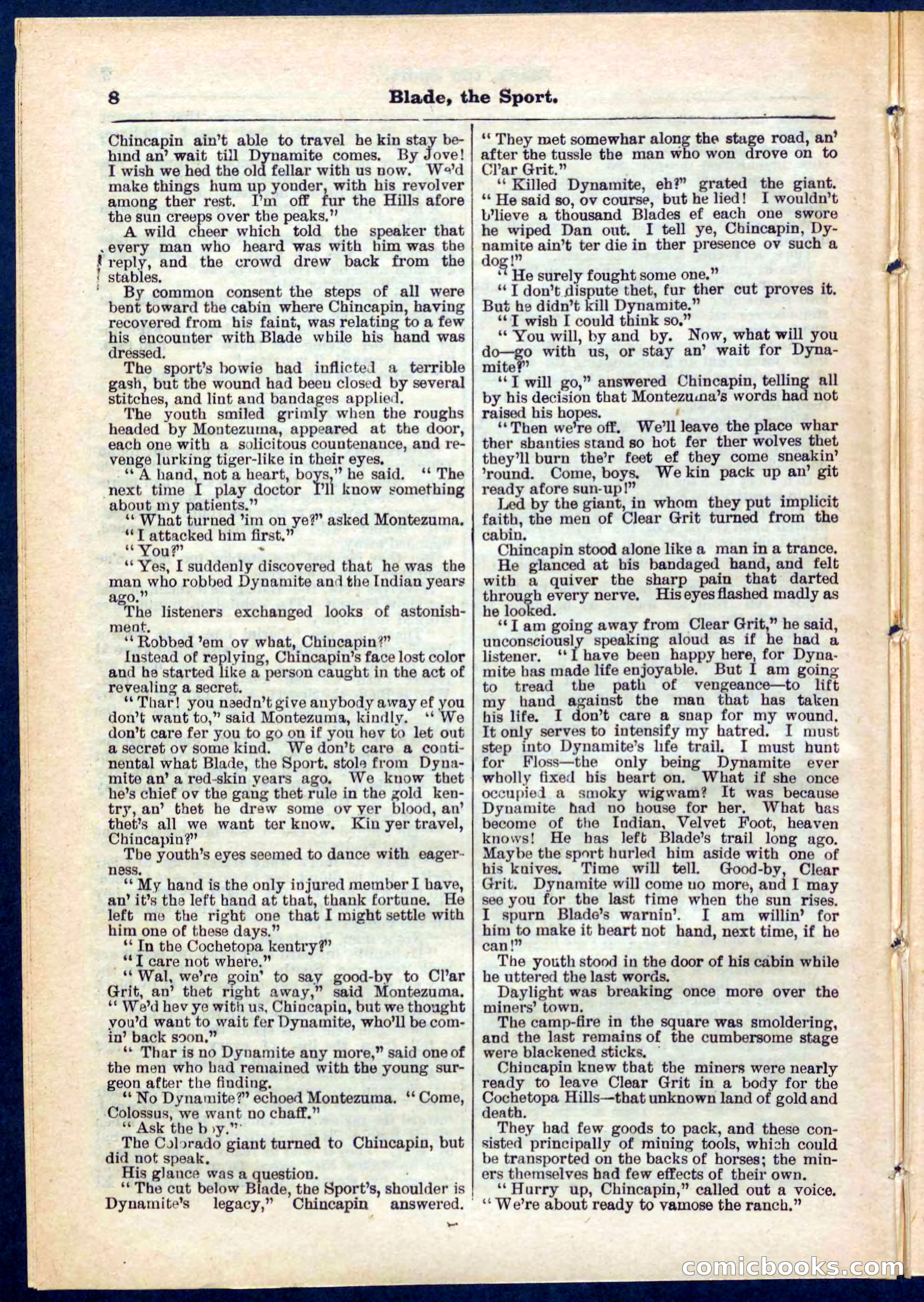 Beadle's Pocket Library No. 261 — page 8 of 32