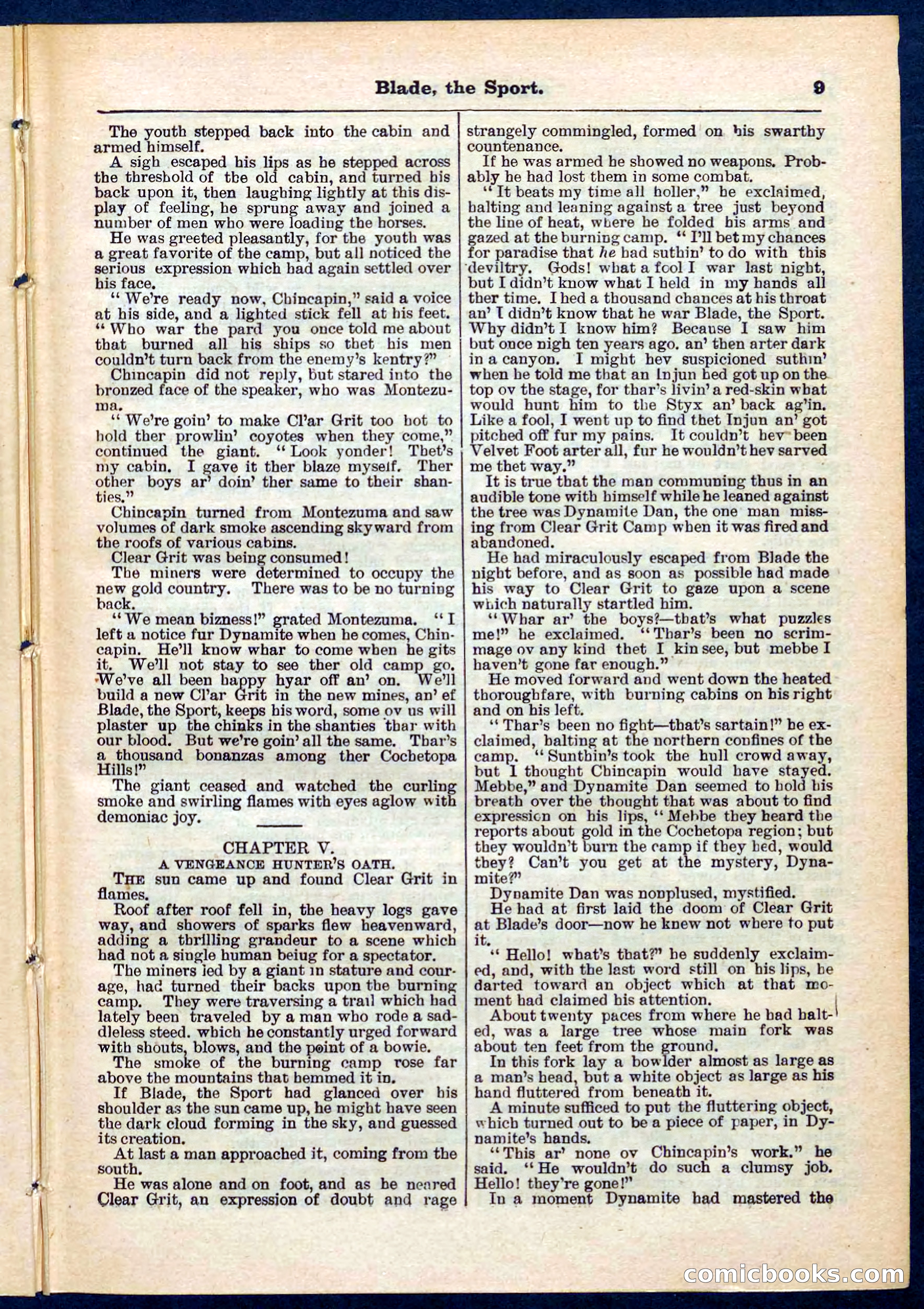 Beadle's Pocket Library No. 261 — page 9 of 32