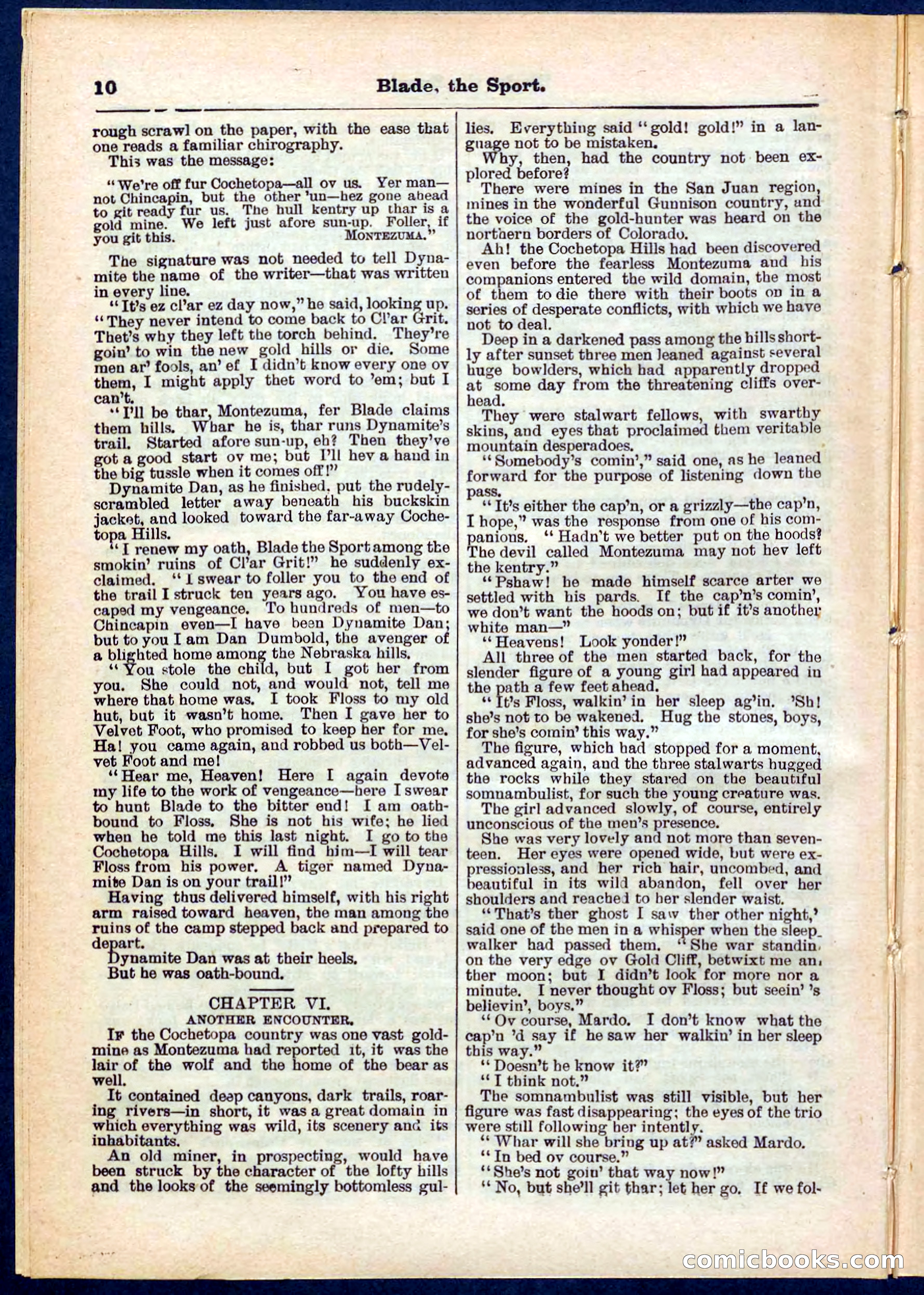 Beadle's Pocket Library No. 261 — page 10 of 32