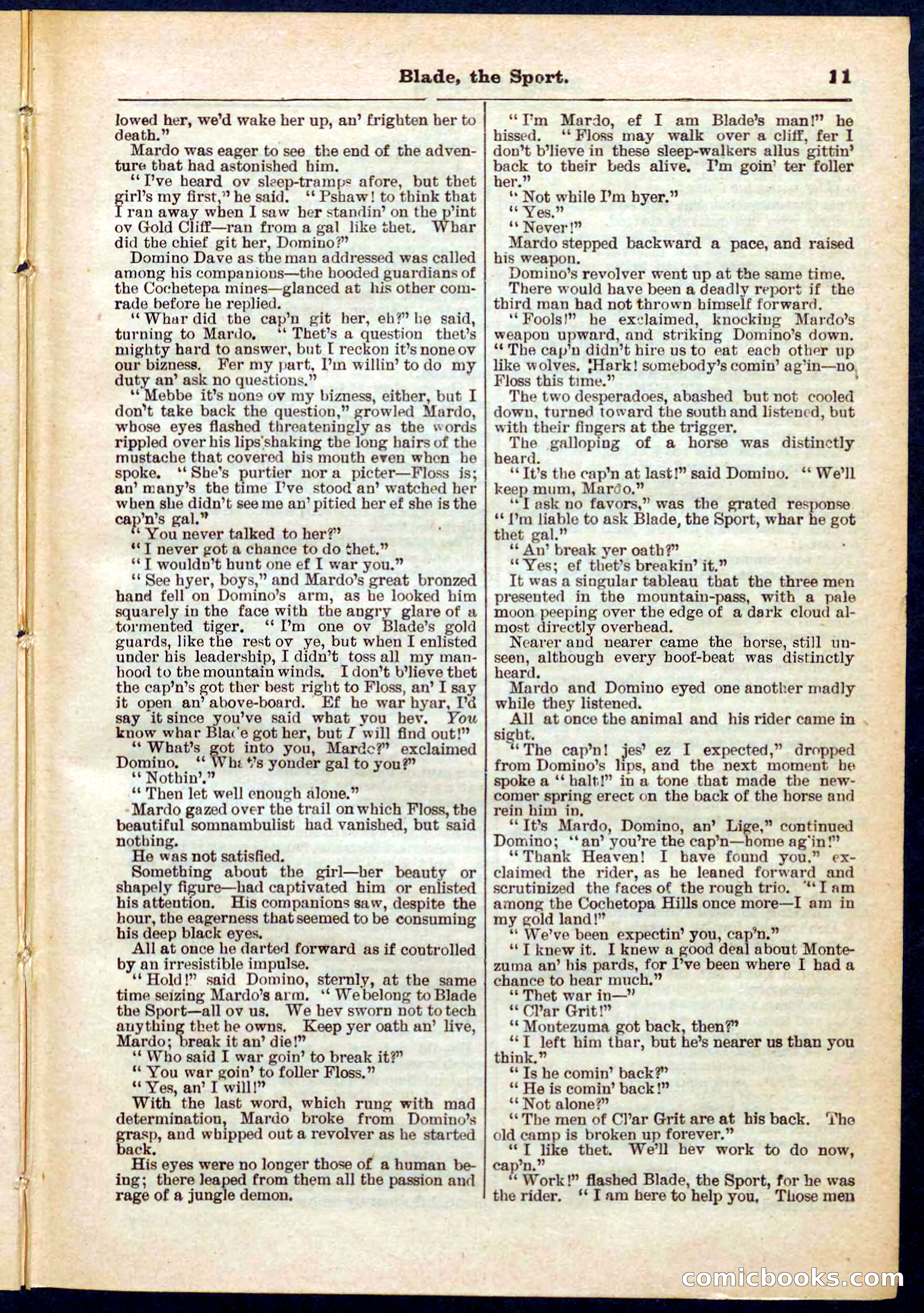 Beadle's Pocket Library No. 261 — page 11 of 32