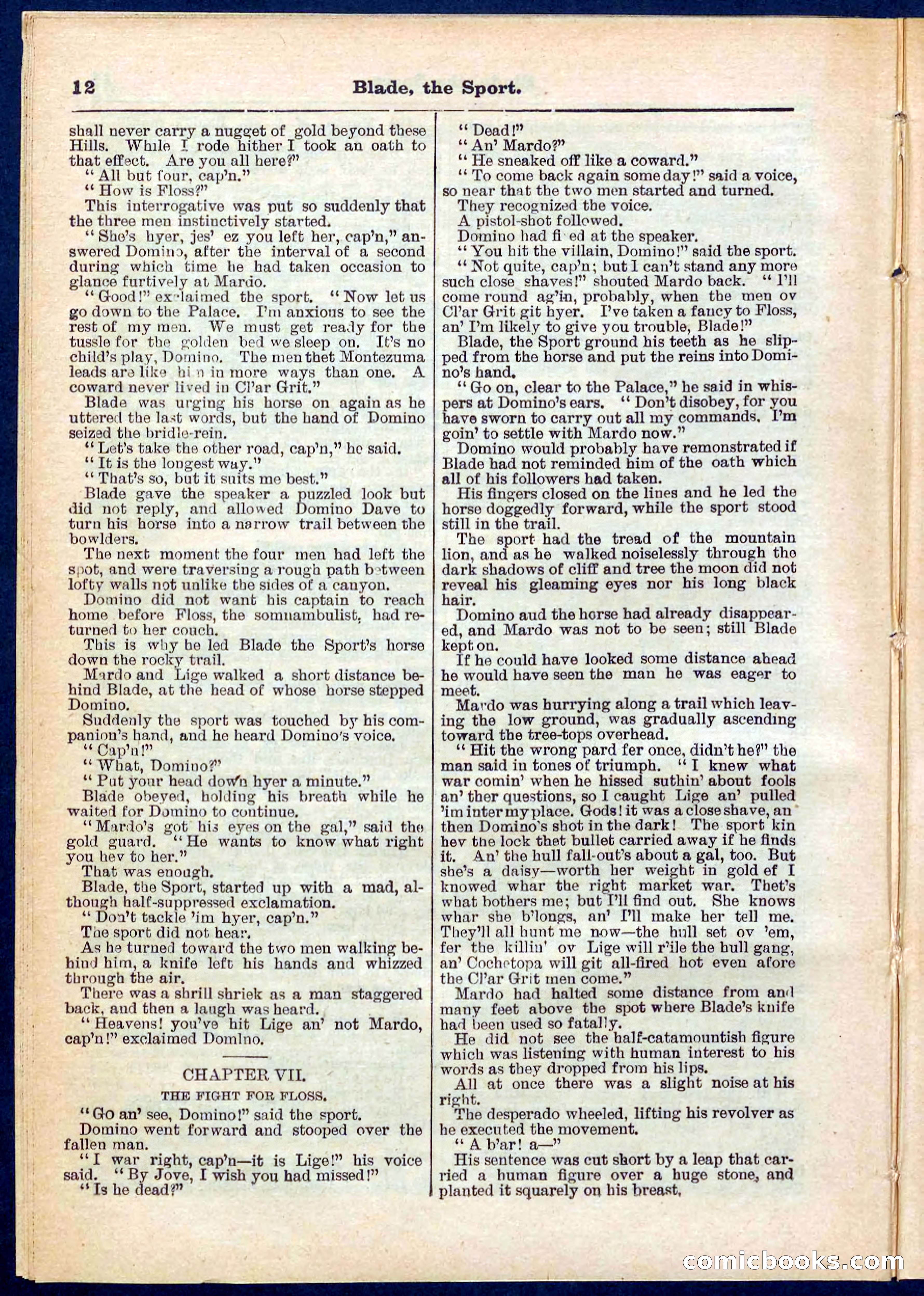Beadle's Pocket Library No. 261 — page 12 of 32