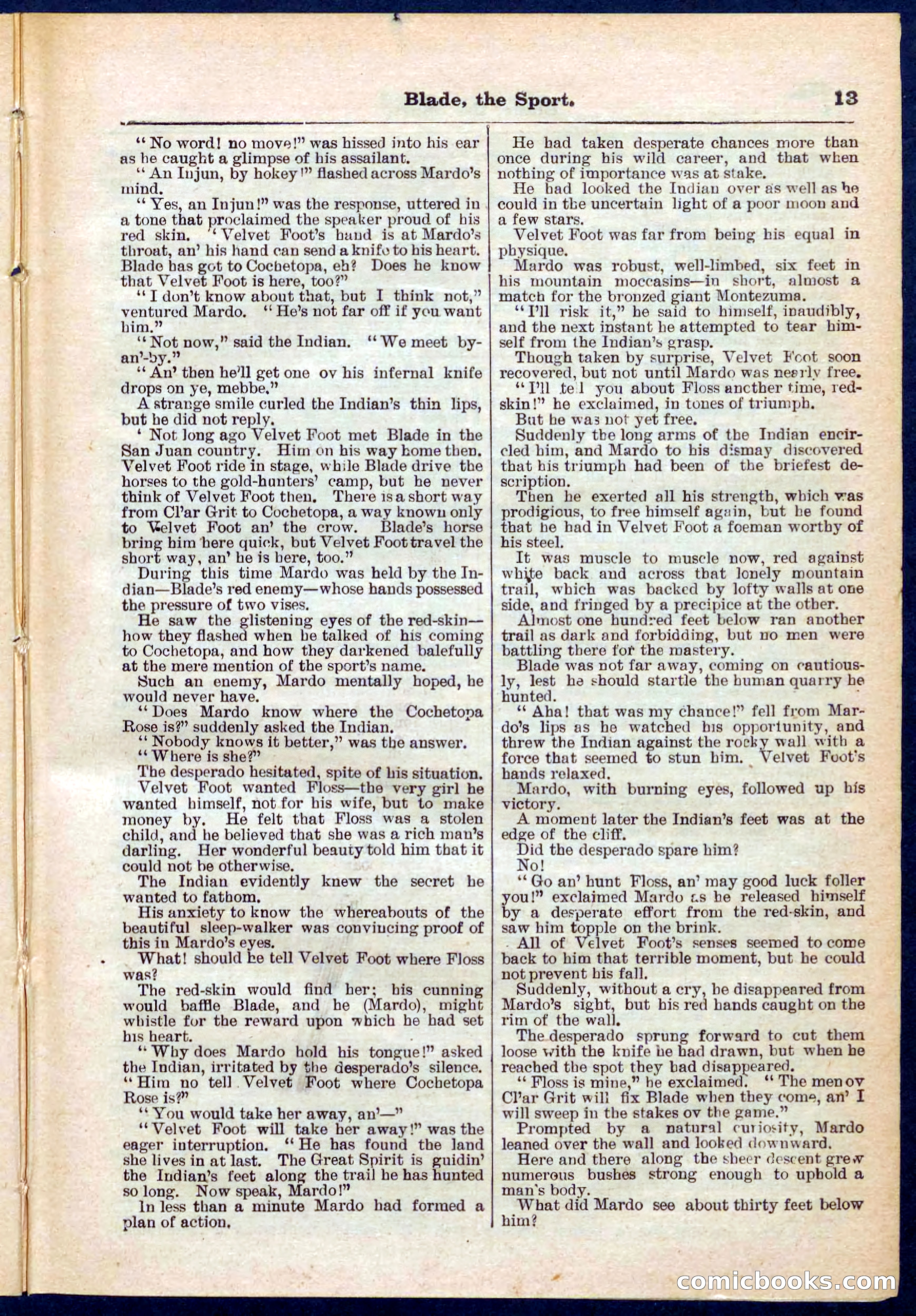 Beadle's Pocket Library No. 261 — page 13 of 32