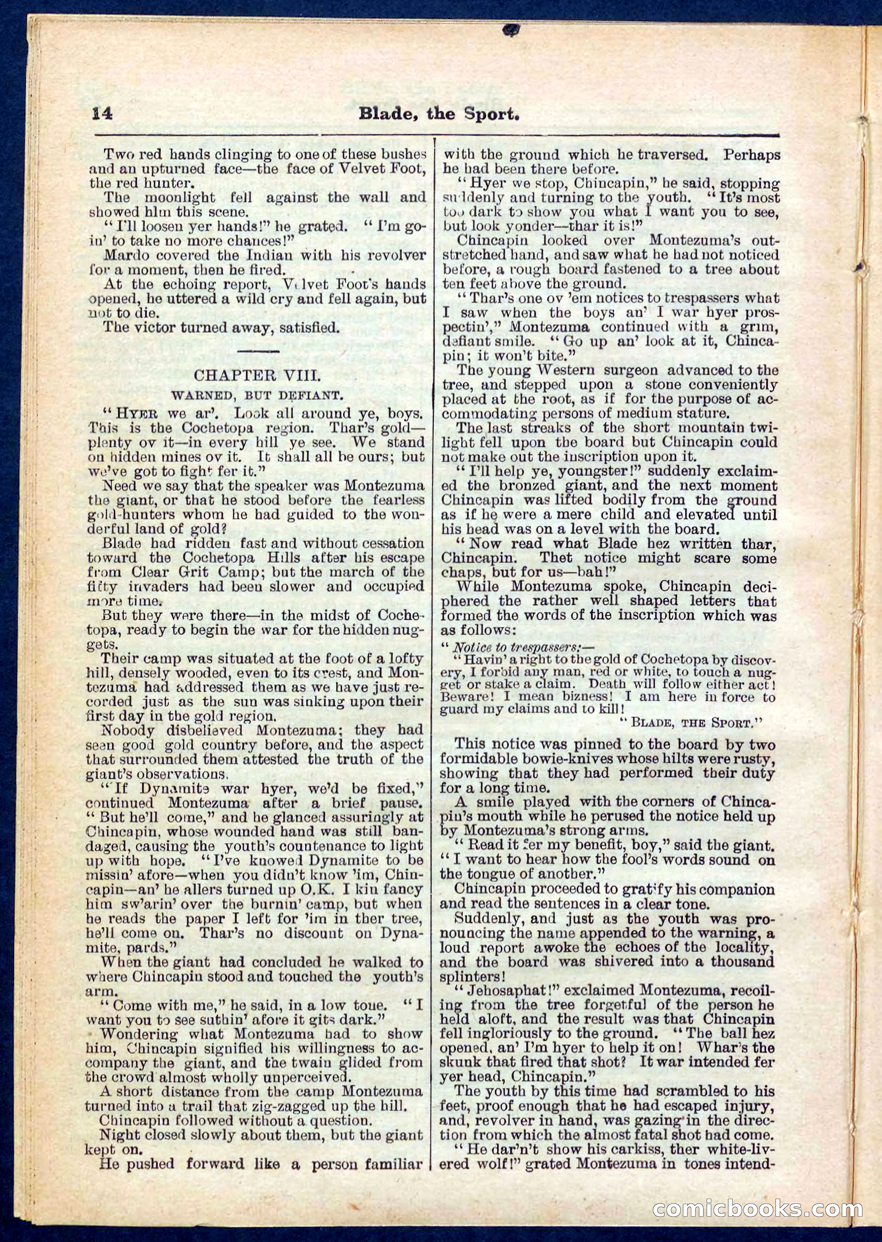 Beadle's Pocket Library No. 261 — page 14 of 32