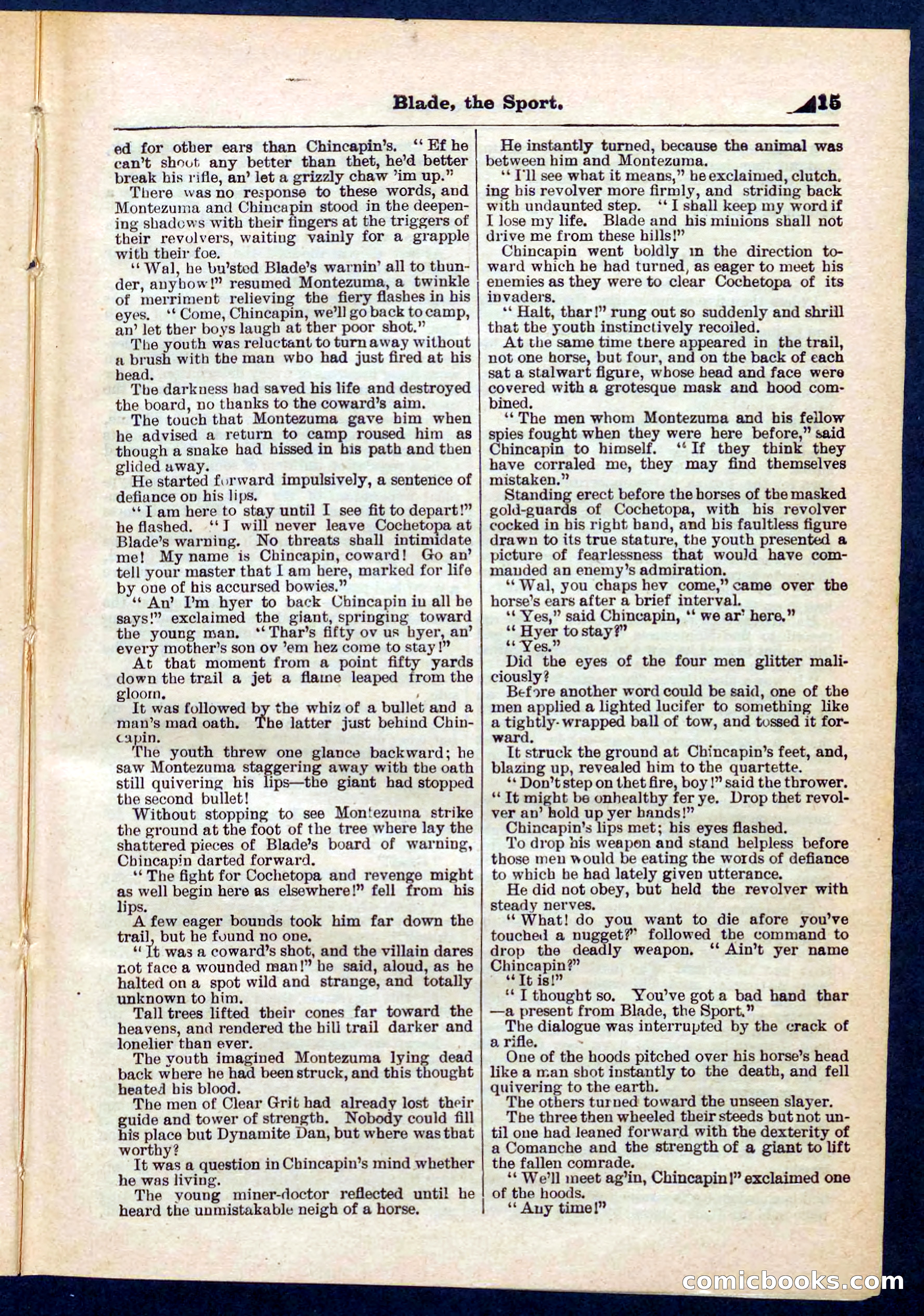 Beadle's Pocket Library No. 261 — page 15 of 32