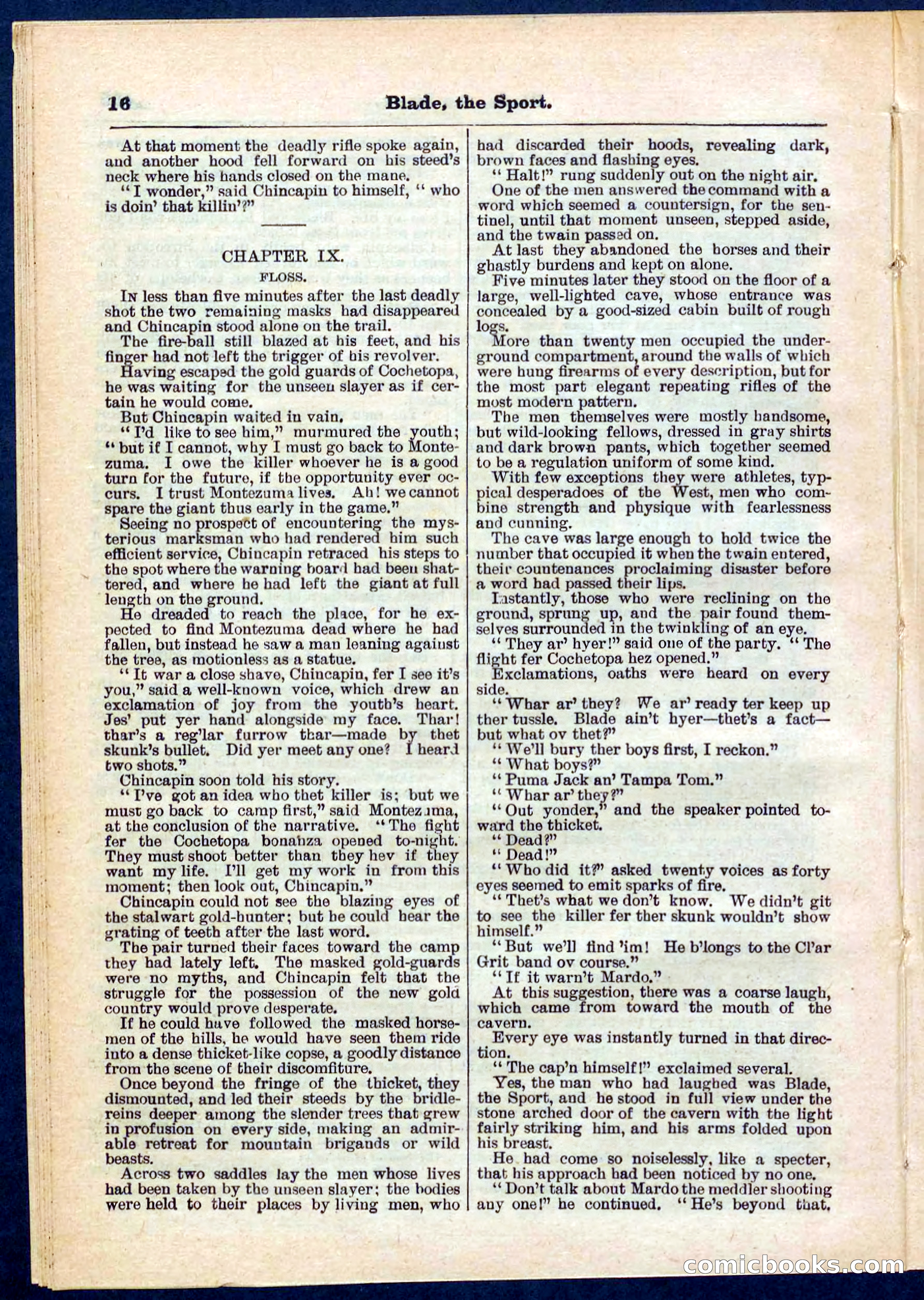 Beadle's Pocket Library No. 261 — page 16 of 32