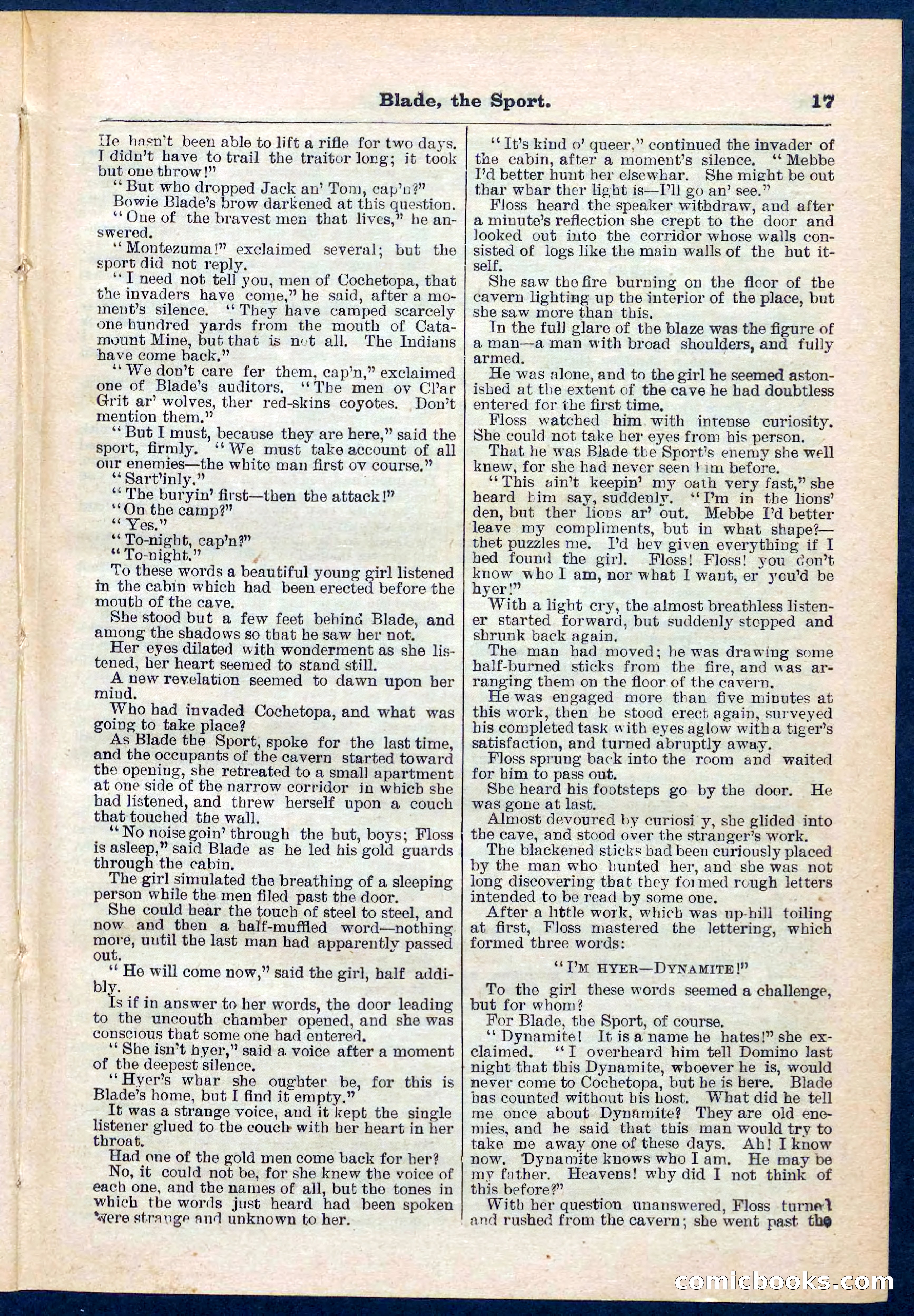 Beadle's Pocket Library No. 261 — page 17 of 32