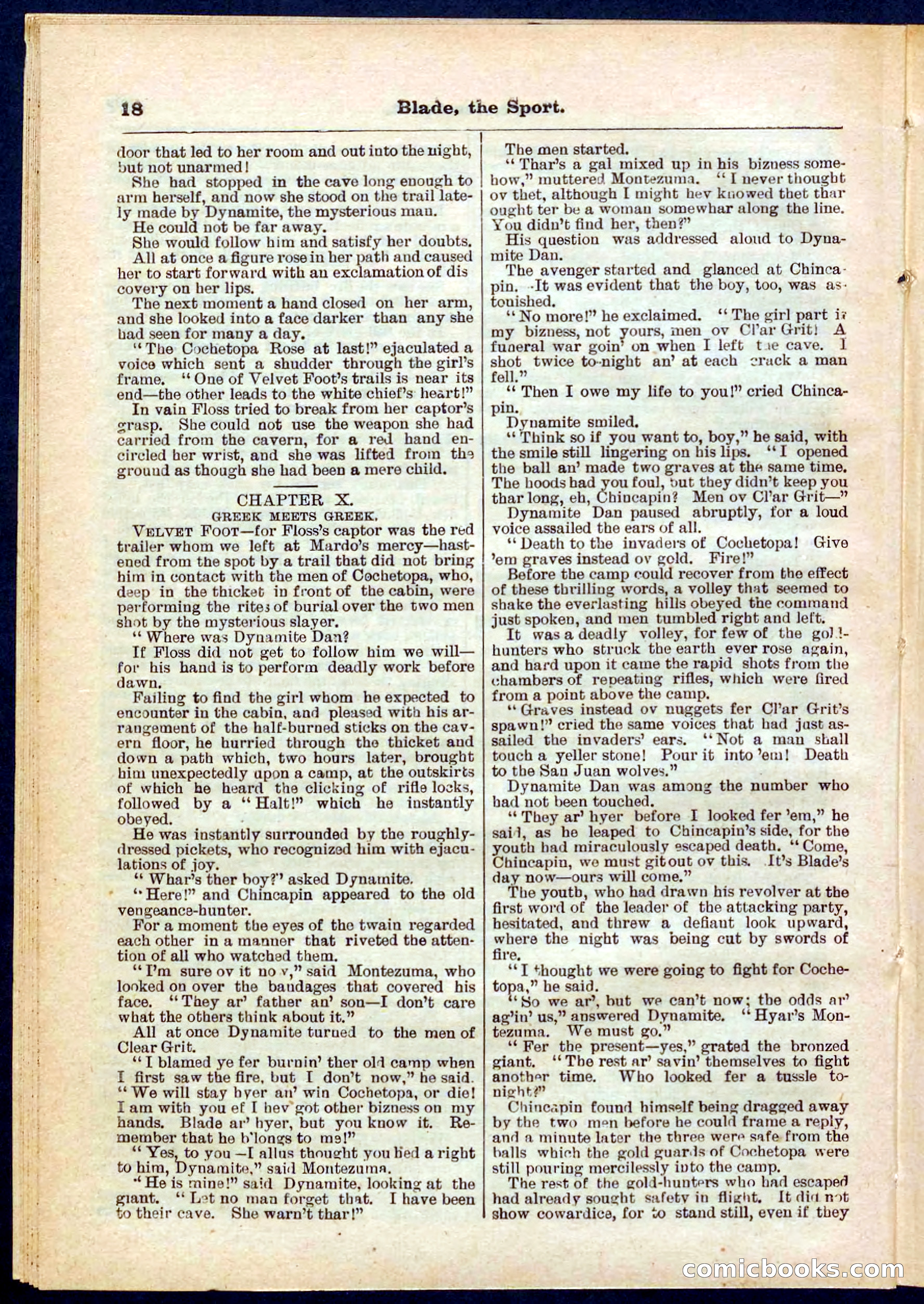 Beadle's Pocket Library No. 261 — page 18 of 32