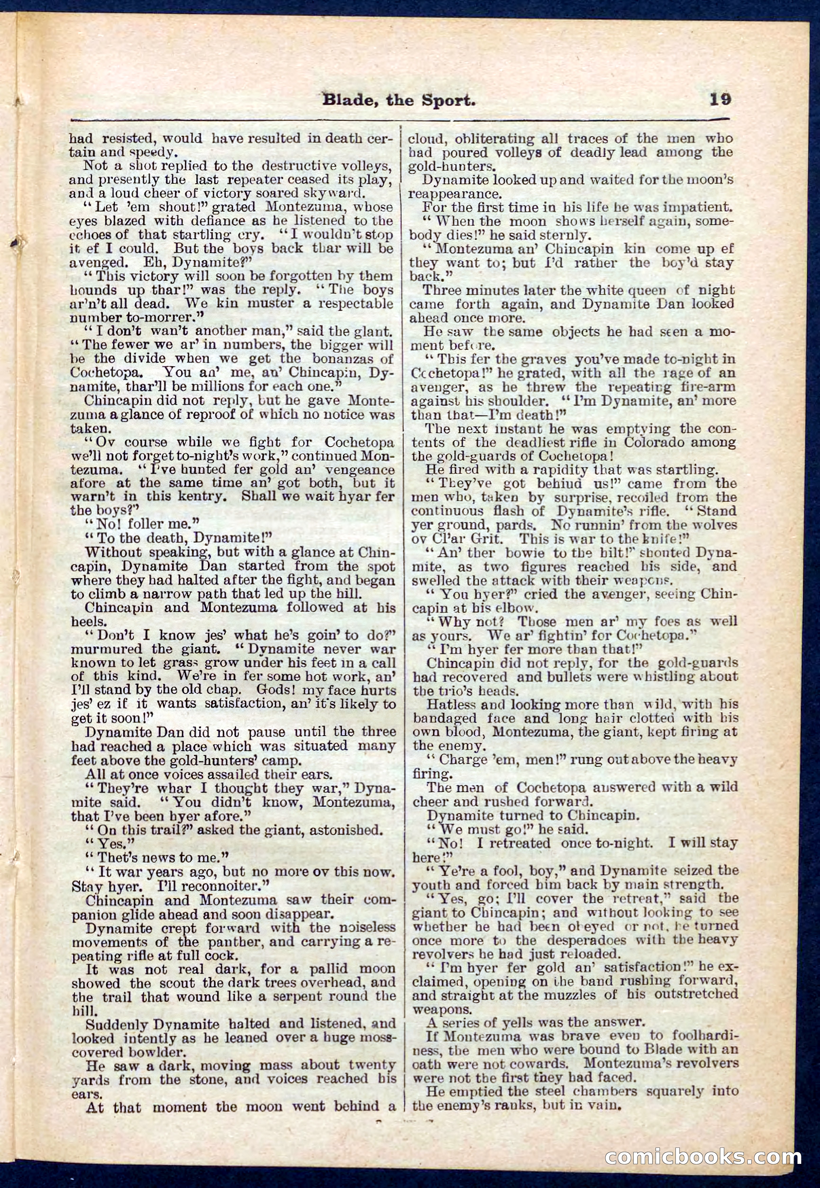 Beadle's Pocket Library No. 261 — page 19 of 32