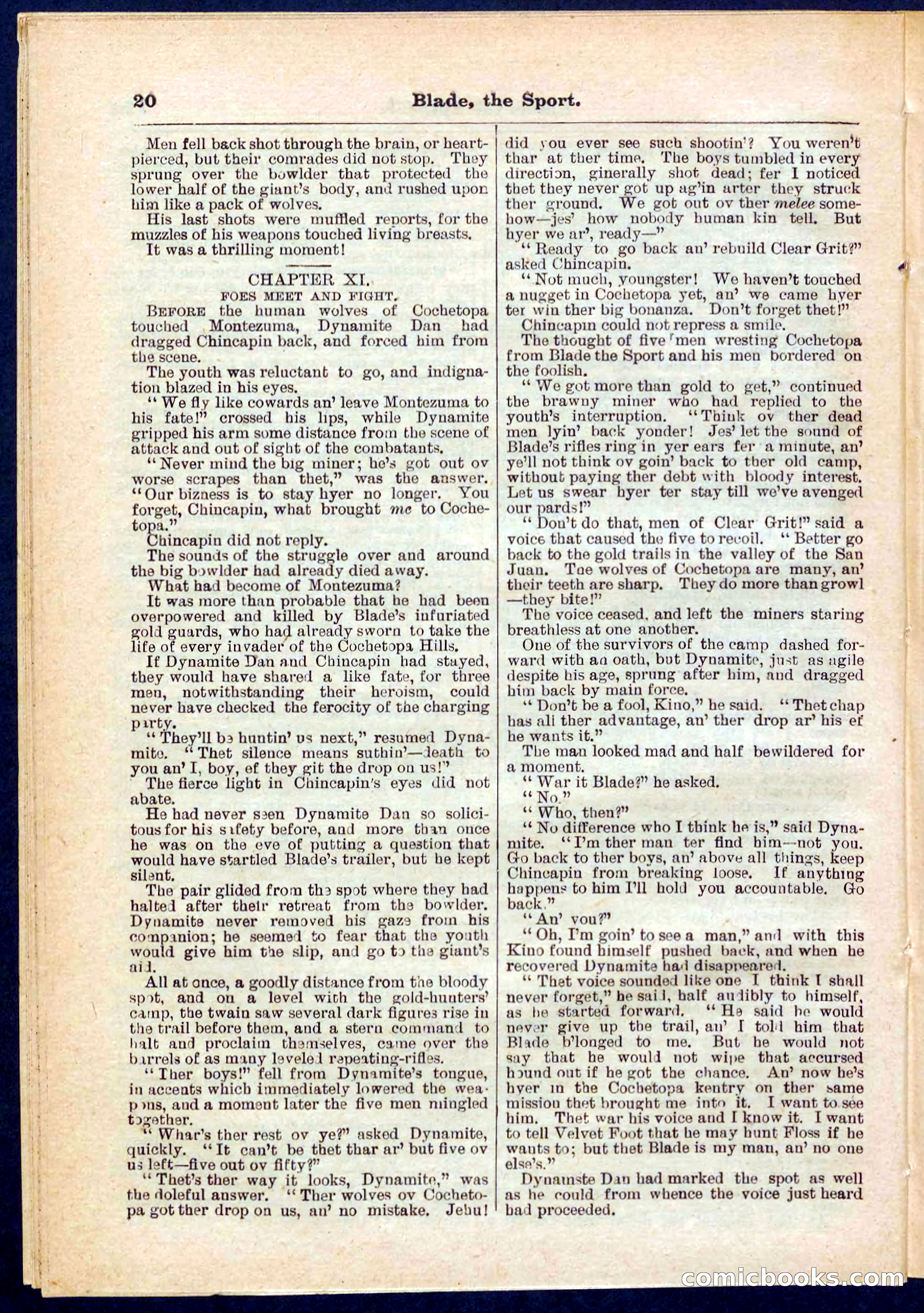 Beadle's Pocket Library No. 261 — page 20 of 32