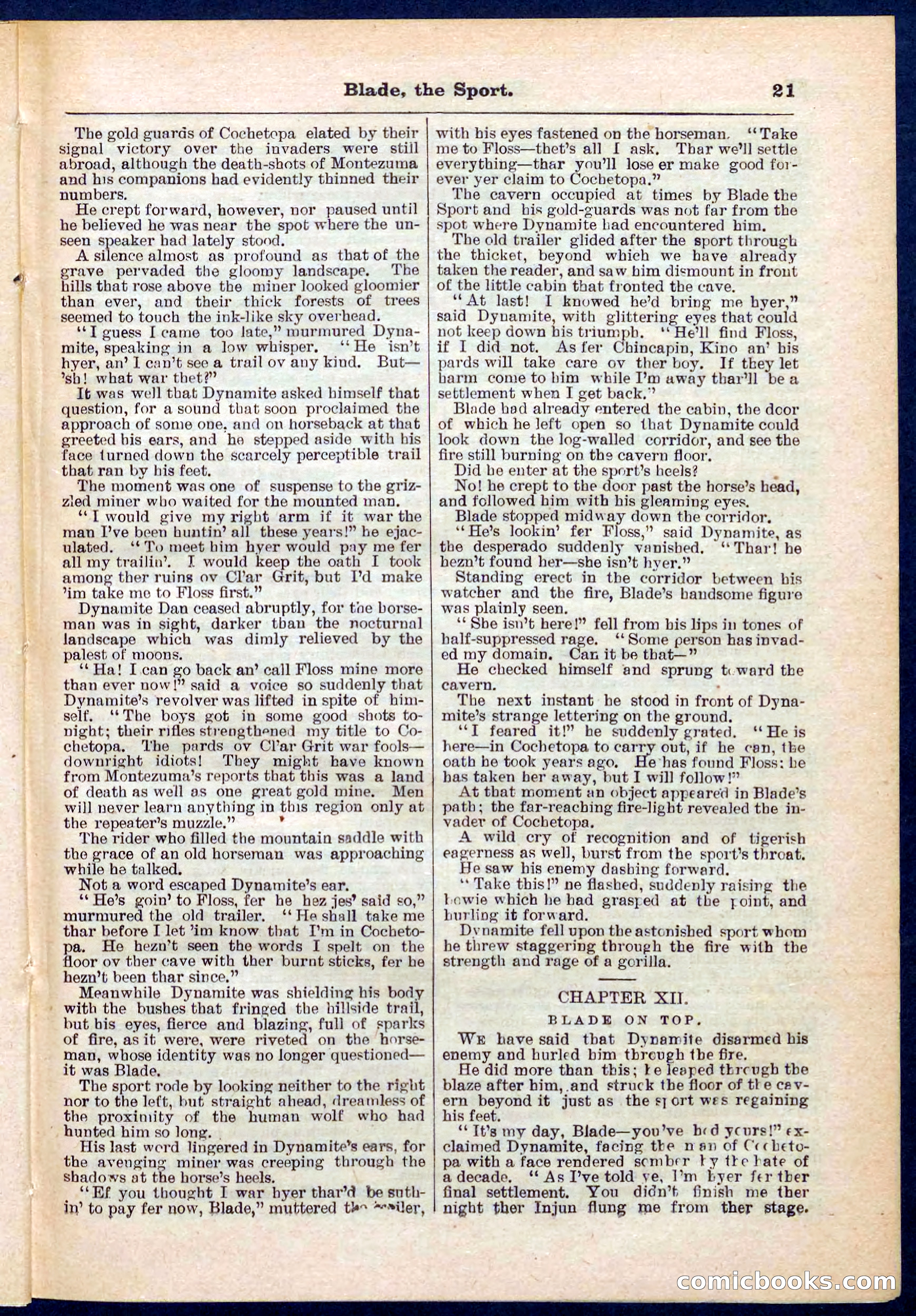 Beadle's Pocket Library No. 261 — page 21 of 32