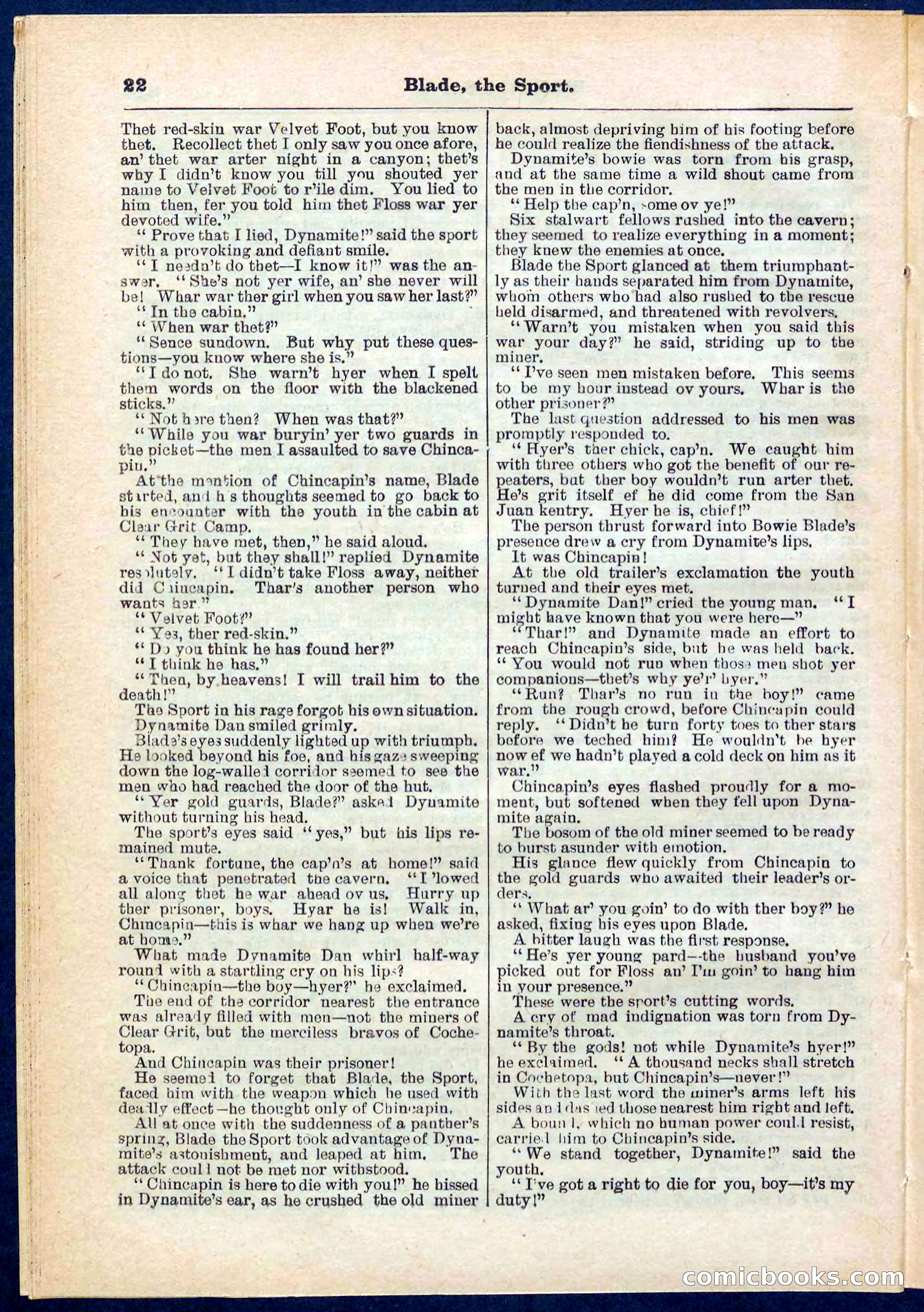 Beadle's Pocket Library No. 261 — page 22 of 32