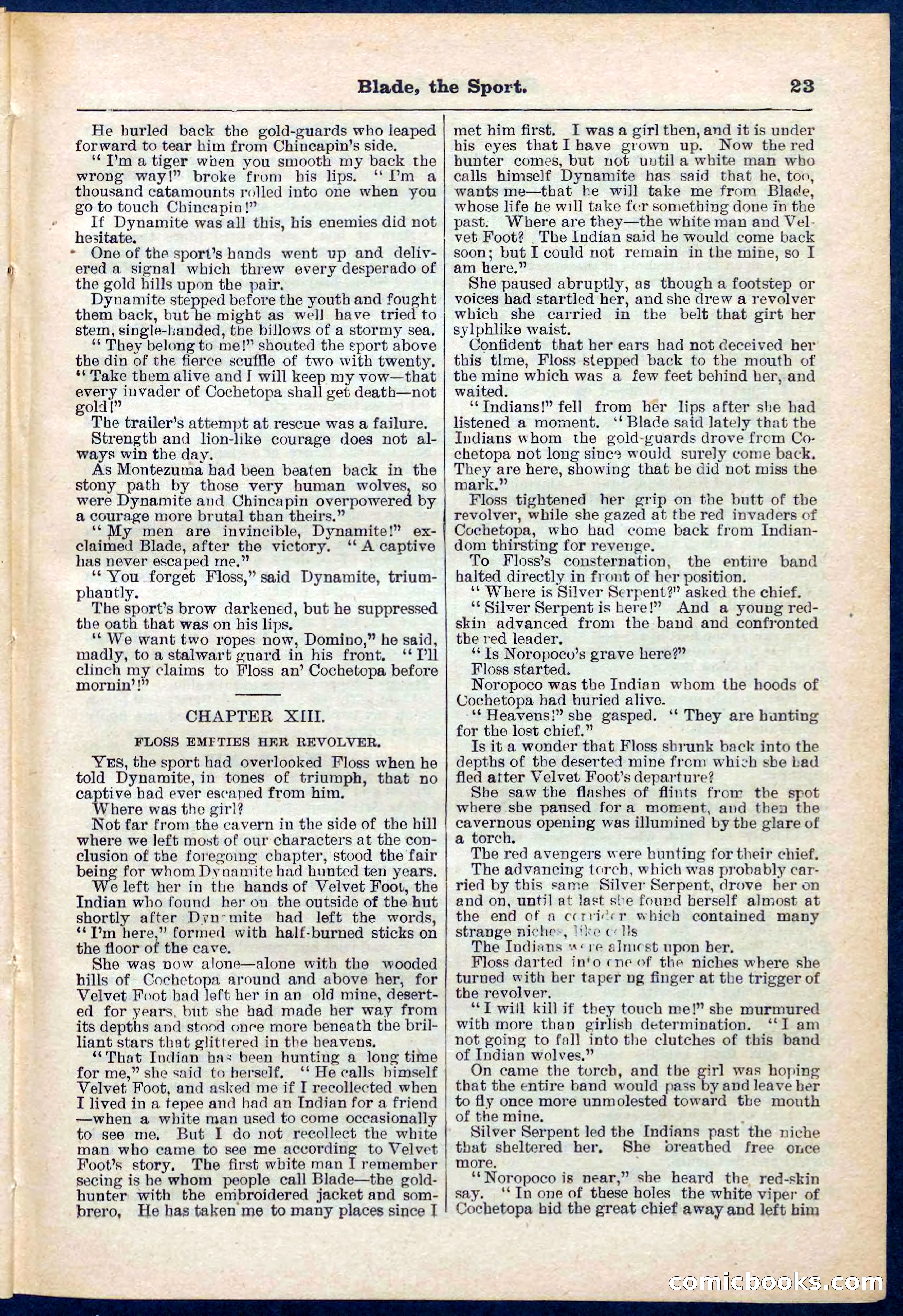 Beadle's Pocket Library No. 261 — page 23 of 32