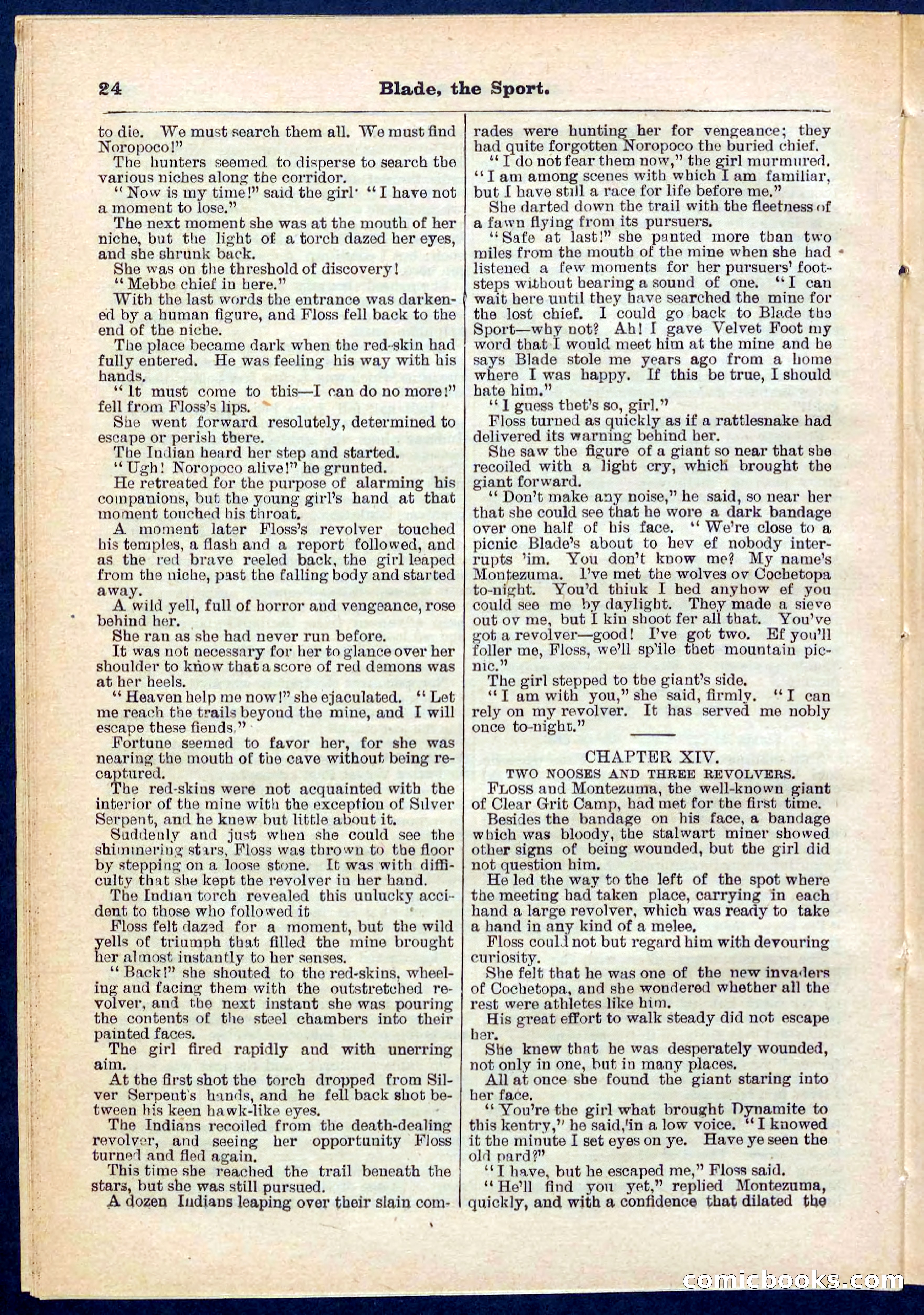 Beadle's Pocket Library No. 261 — page 24 of 32
