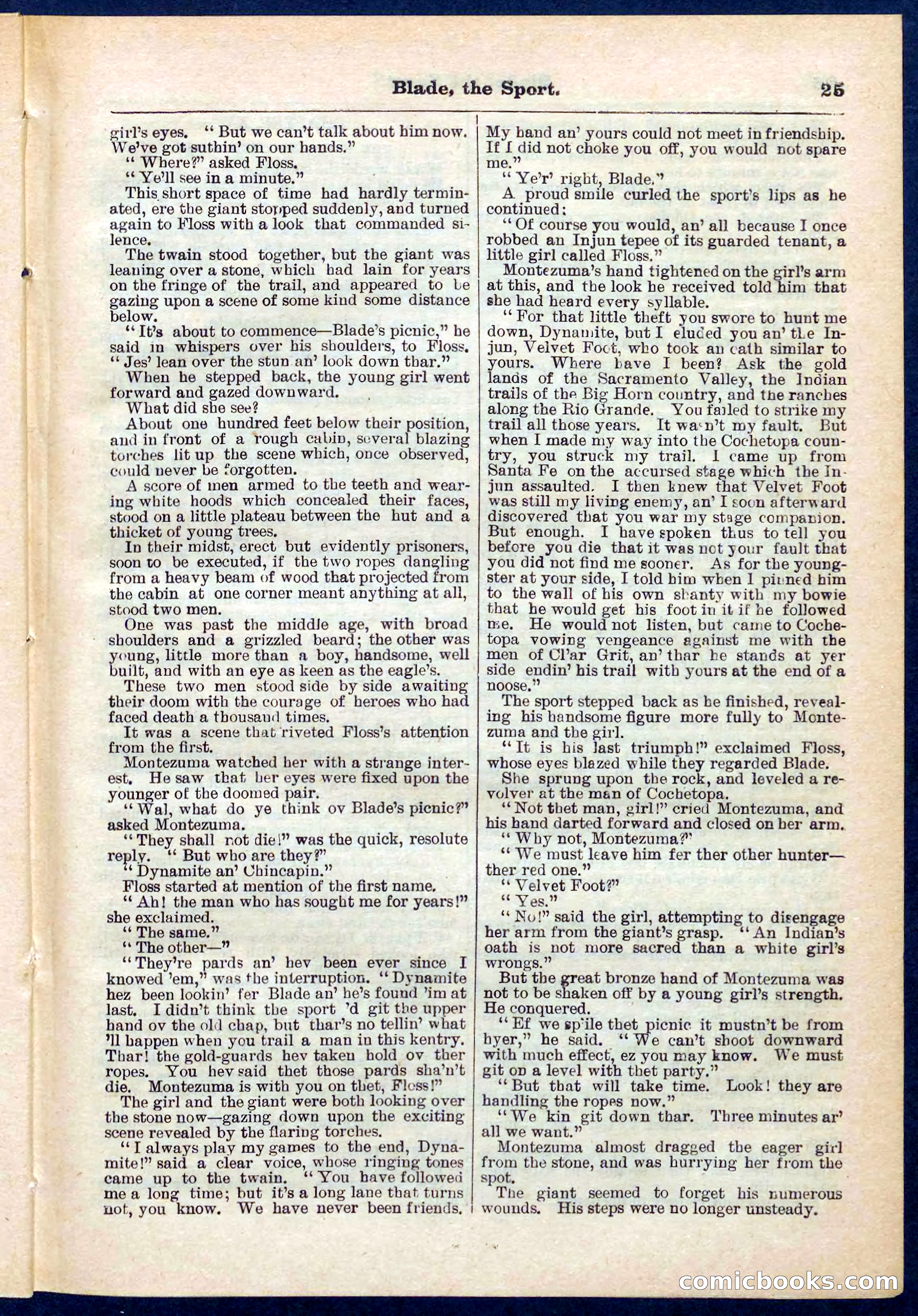 Beadle's Pocket Library No. 261 — page 25 of 32