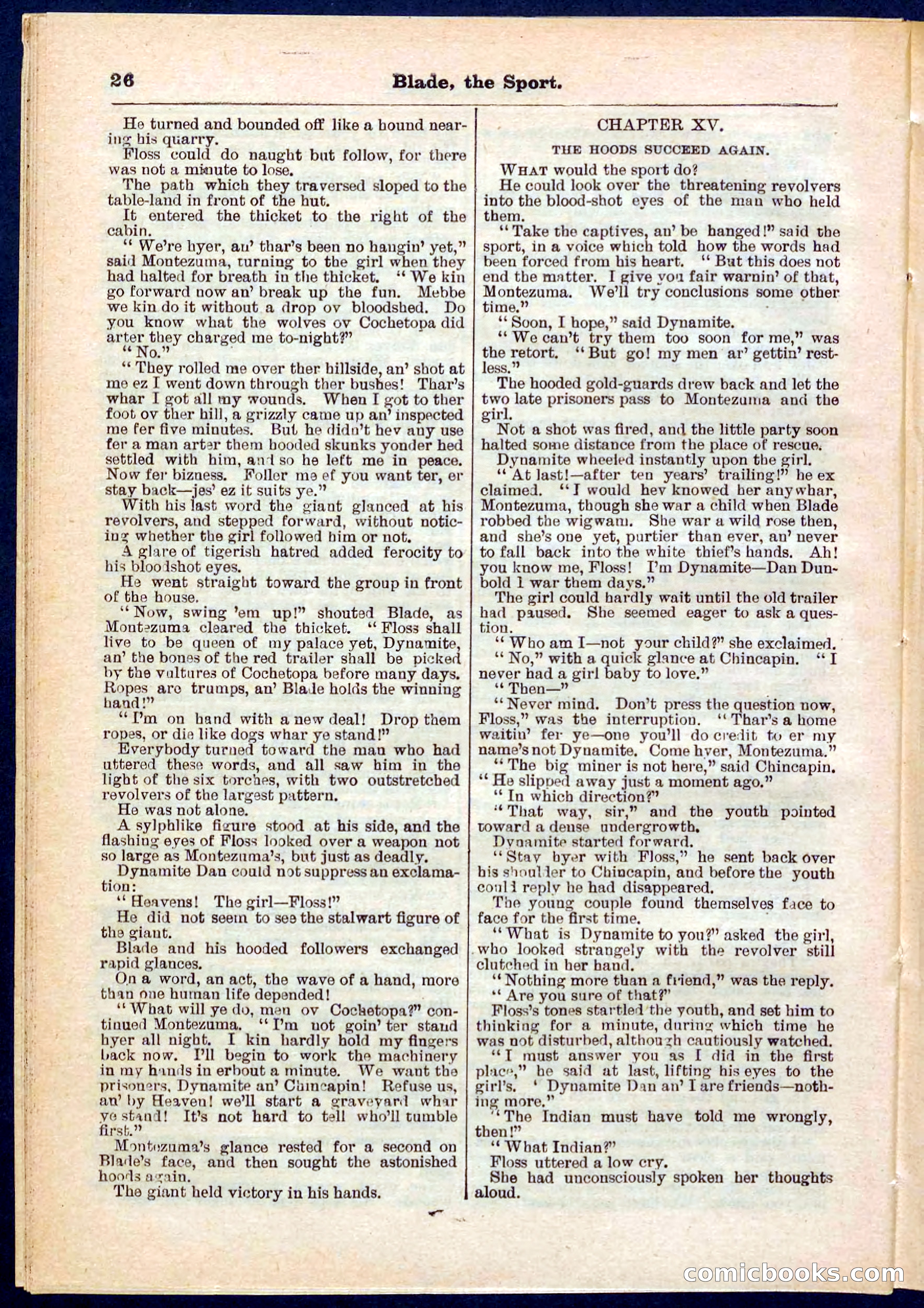 Beadle's Pocket Library No. 261 — page 26 of 32