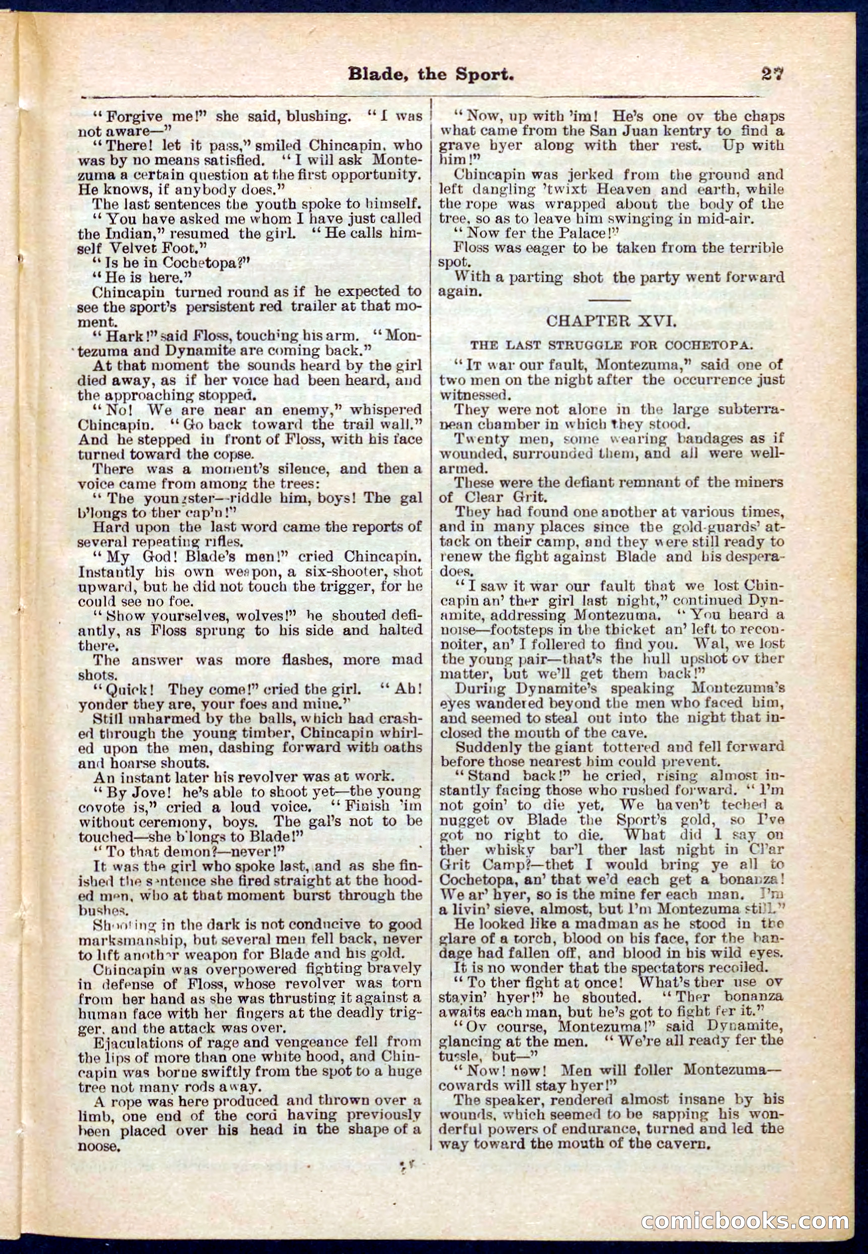 Beadle's Pocket Library No. 261 — page 27 of 32