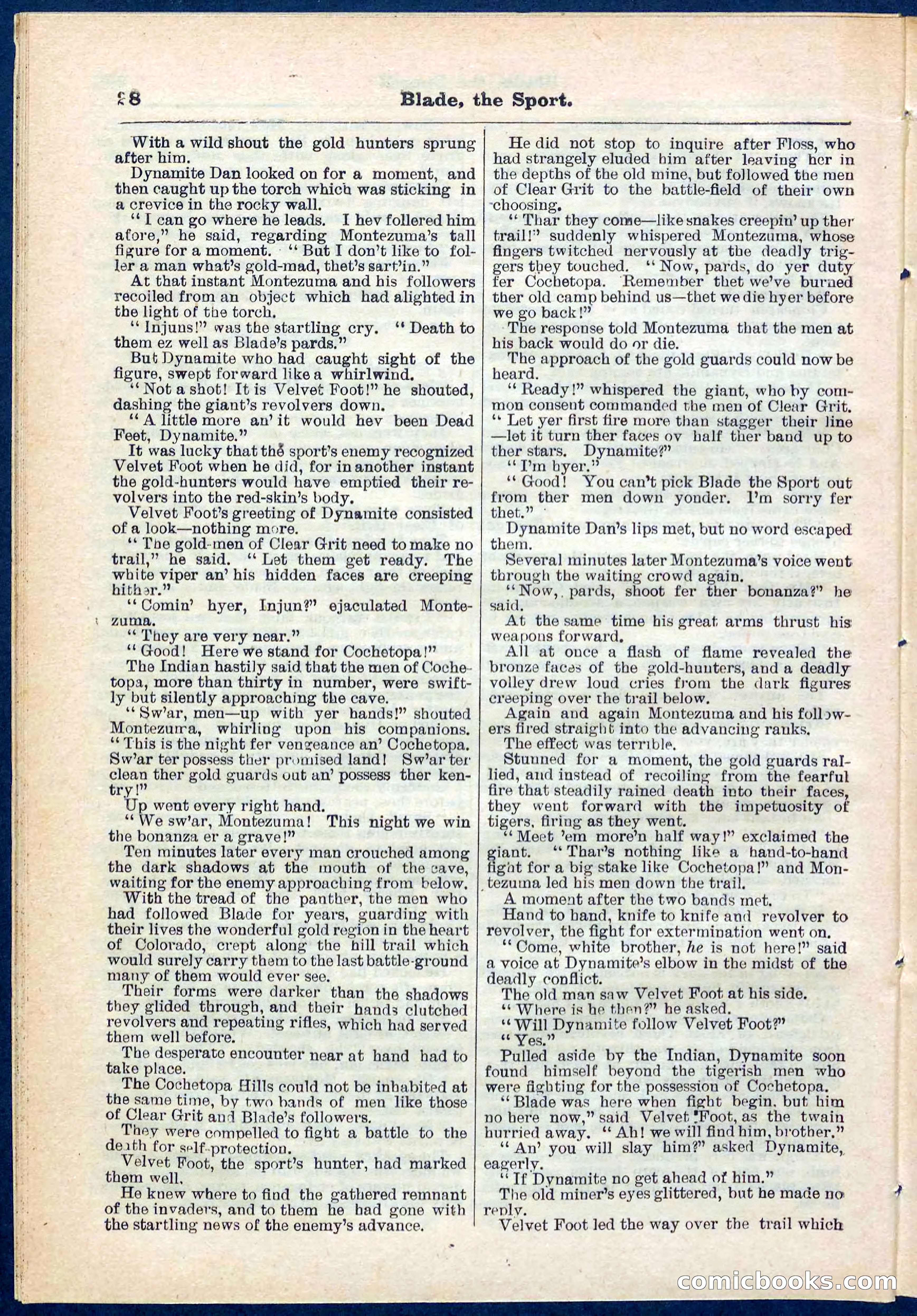 Beadle's Pocket Library No. 261 — page 28 of 32