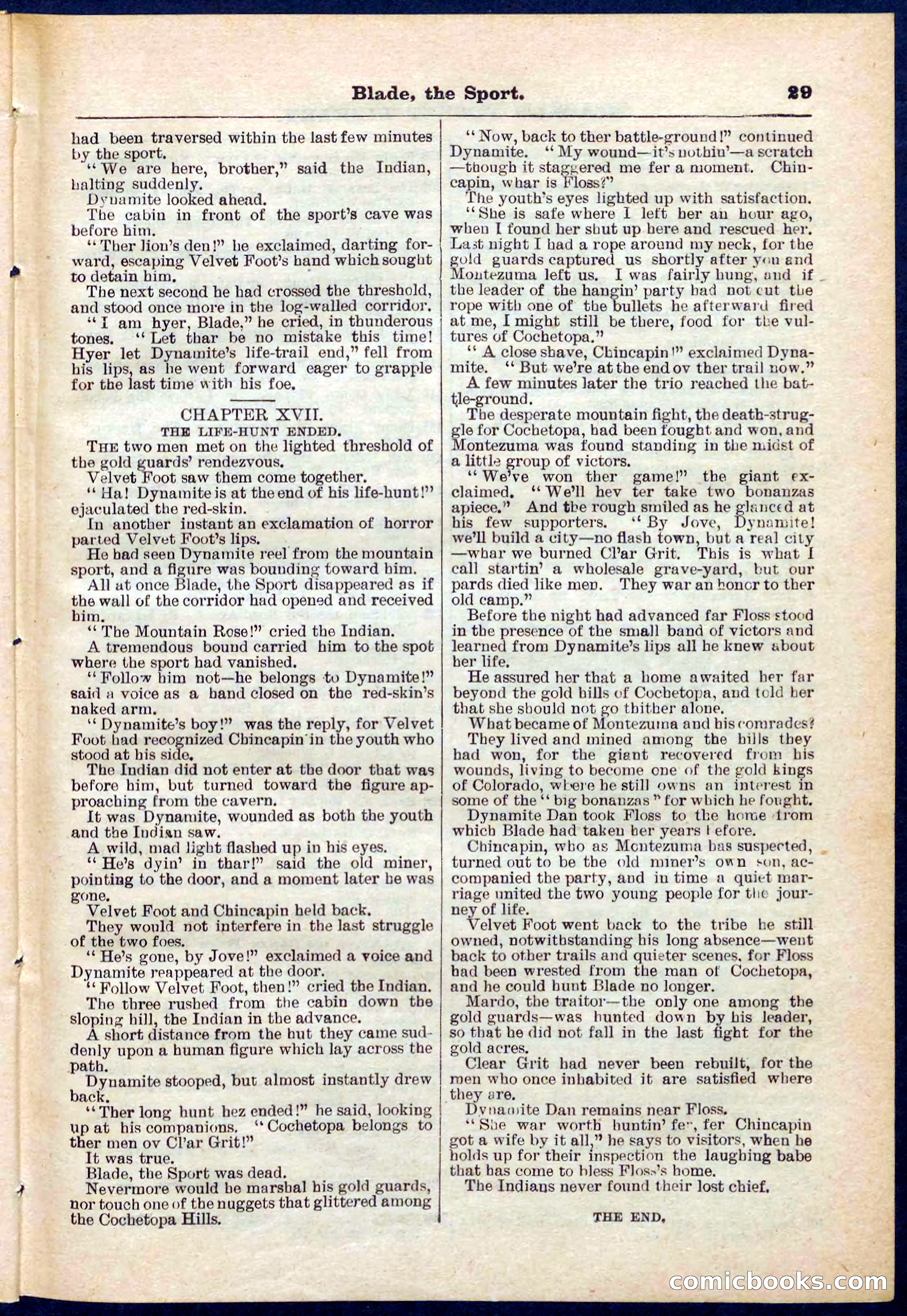 Beadle's Pocket Library No. 261 — page 29 of 32