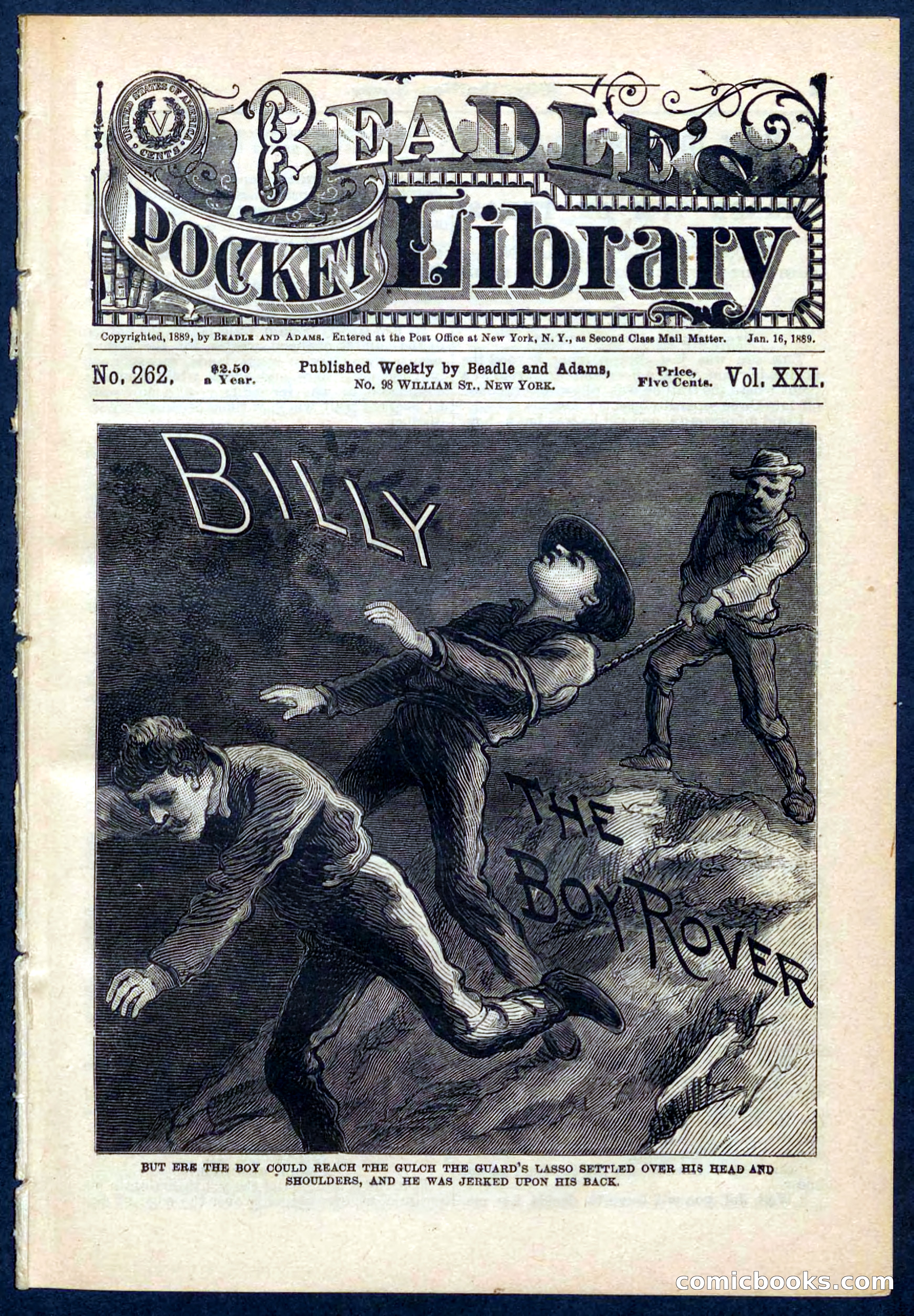 Beadle's Pocket Library No. 262 — page 1 of 32