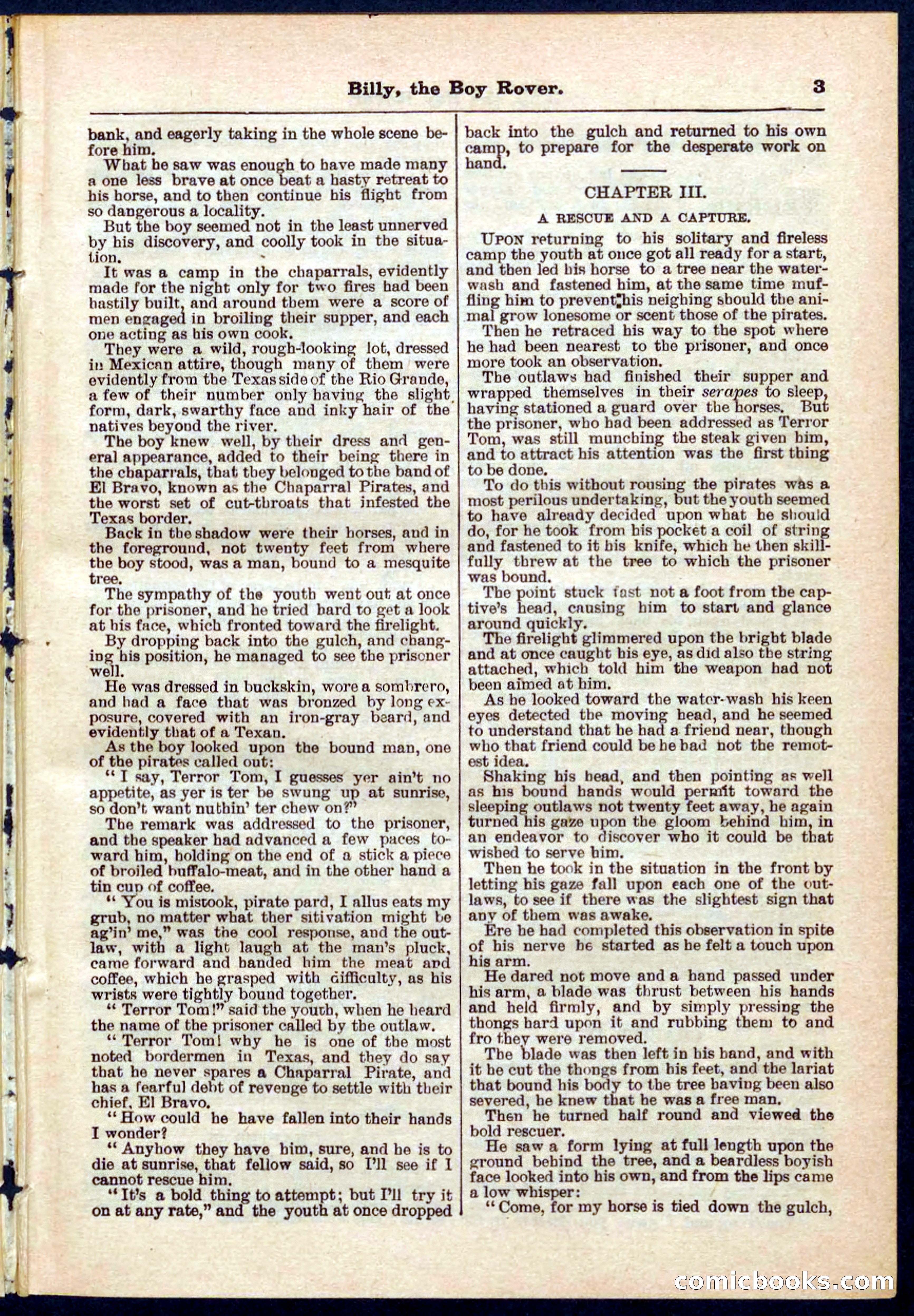 Beadle's Pocket Library No. 262 — page 3 of 32