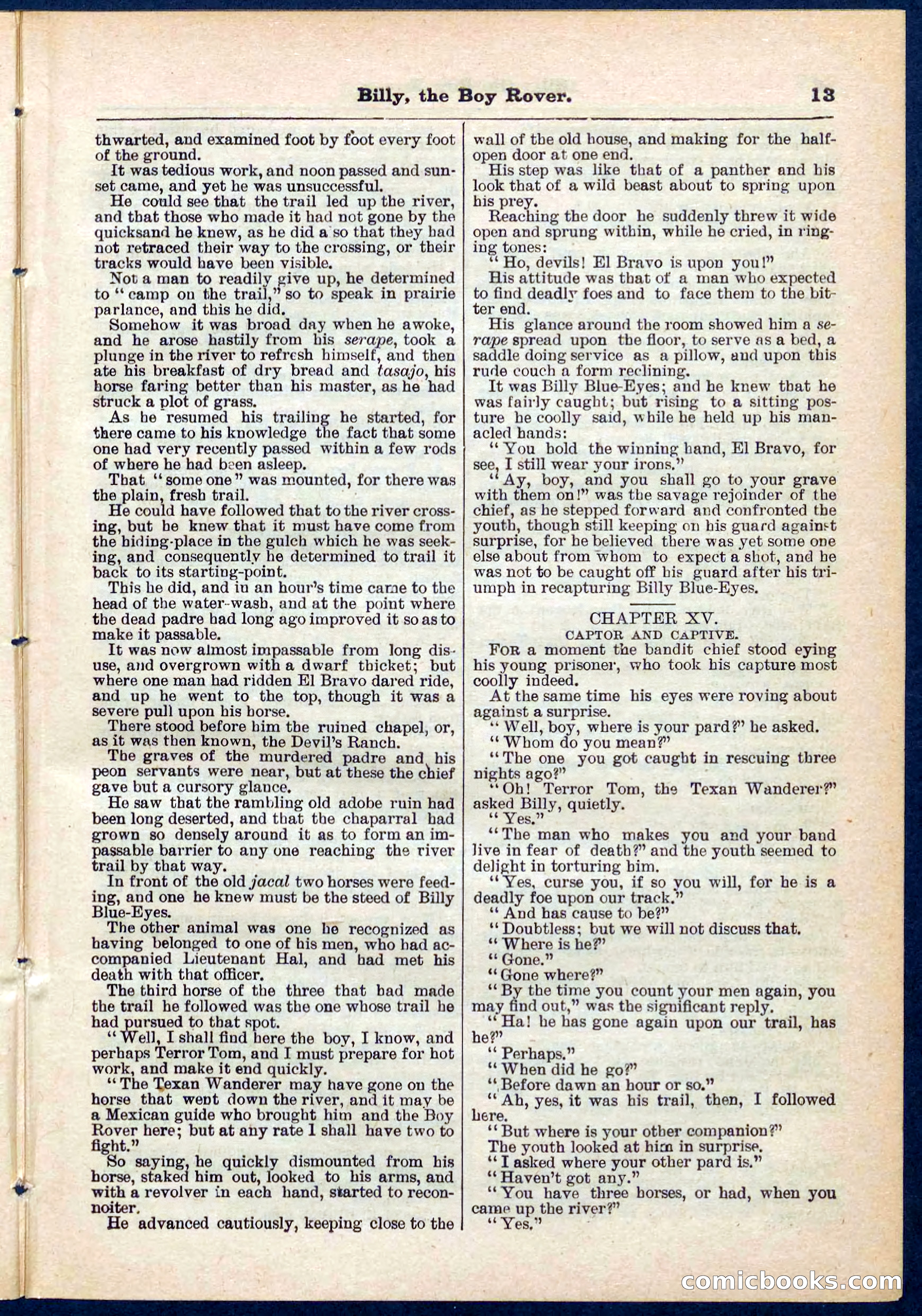 Beadle's Pocket Library No. 262 — page 13 of 32