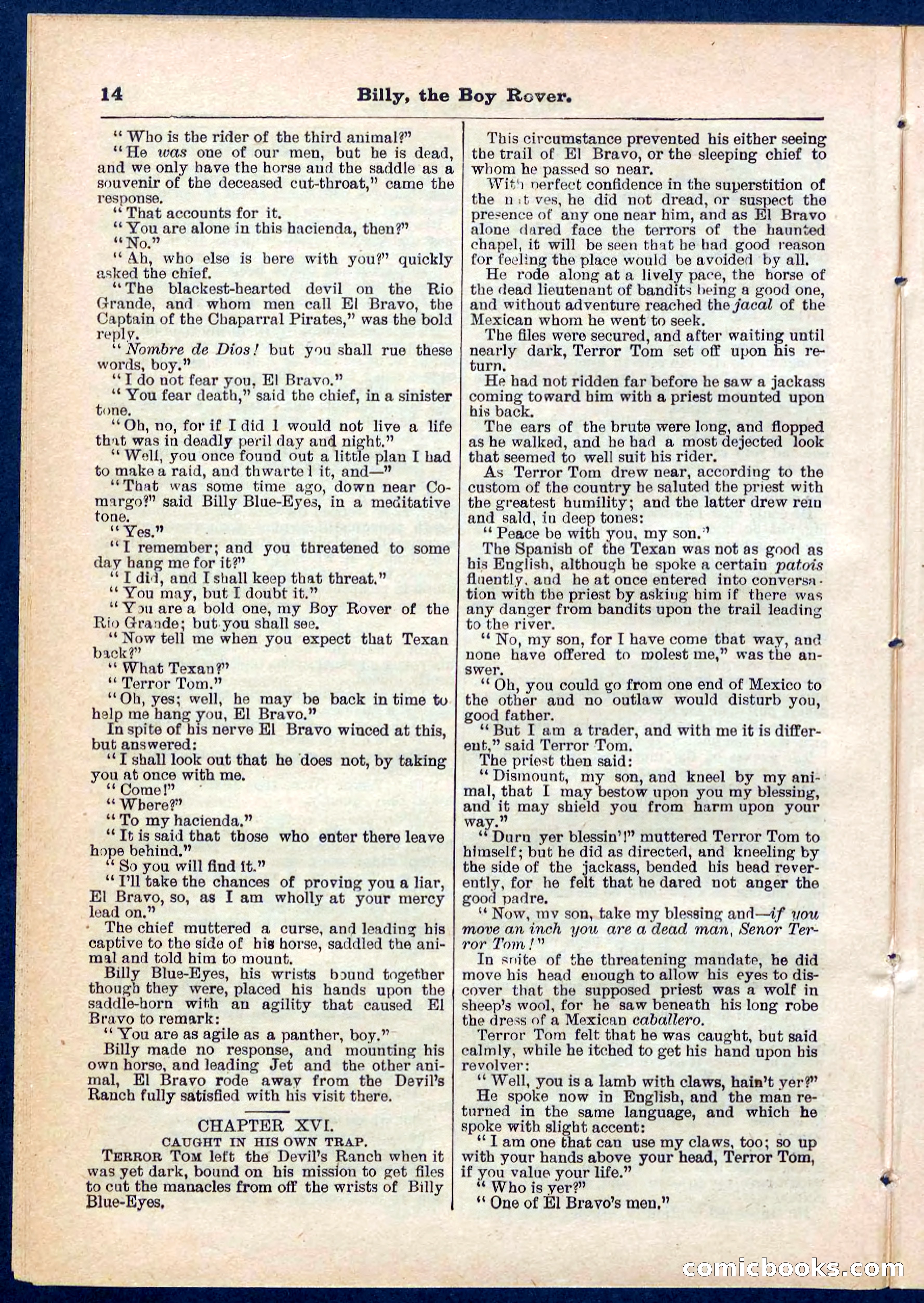 Beadle's Pocket Library No. 262 — page 14 of 32