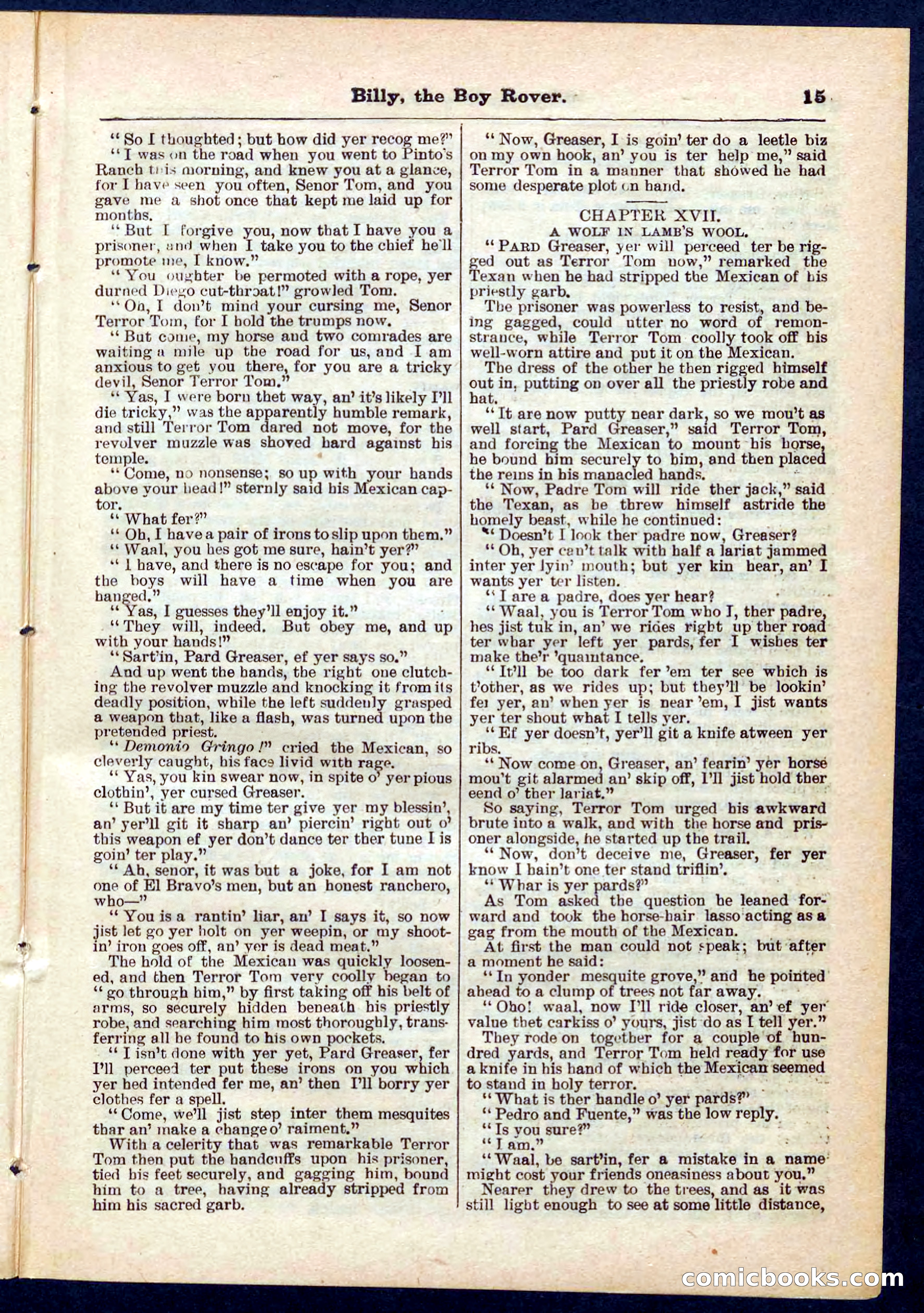 Beadle's Pocket Library No. 262 — page 15 of 32