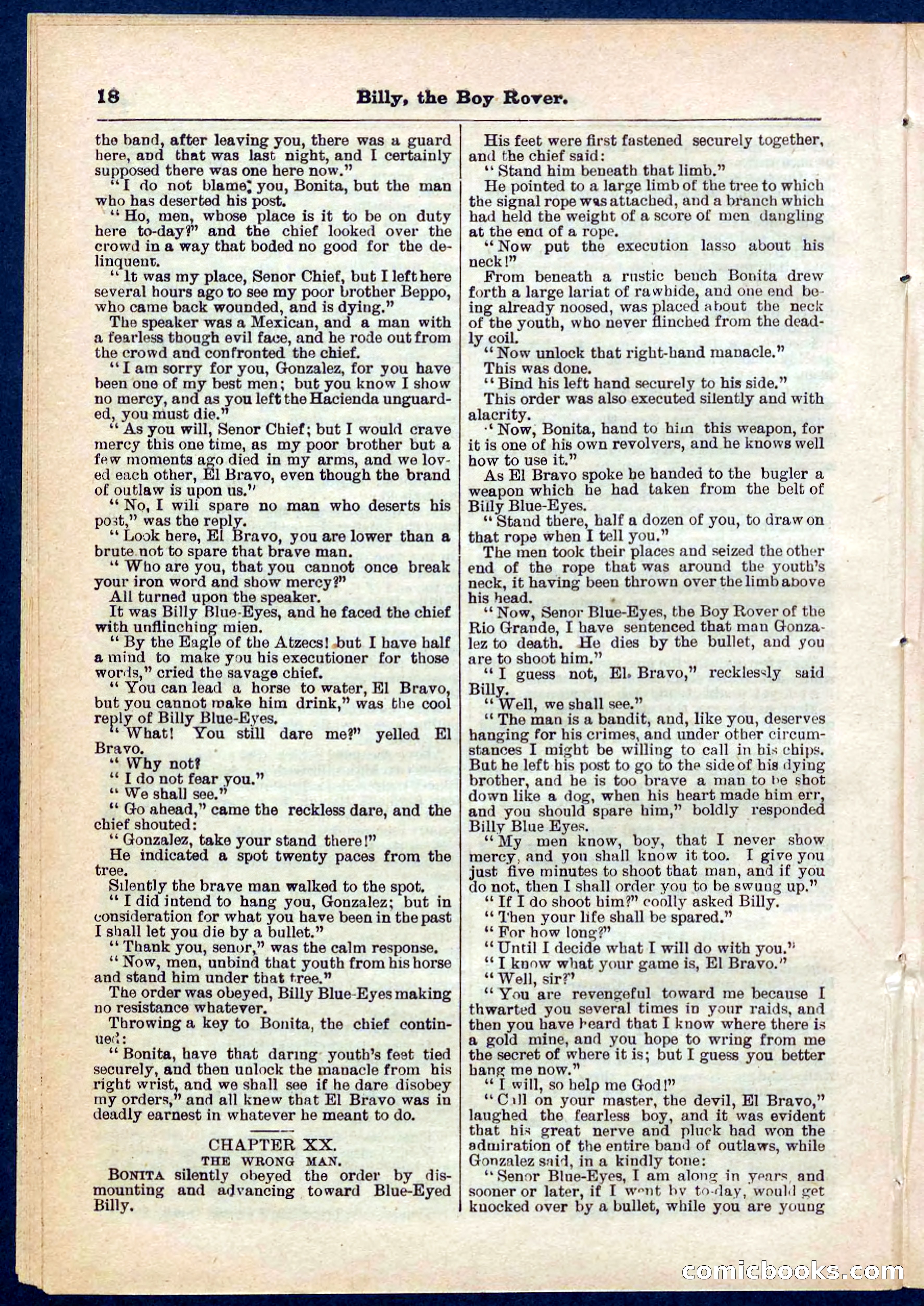 Beadle's Pocket Library No. 262 — page 18 of 32
