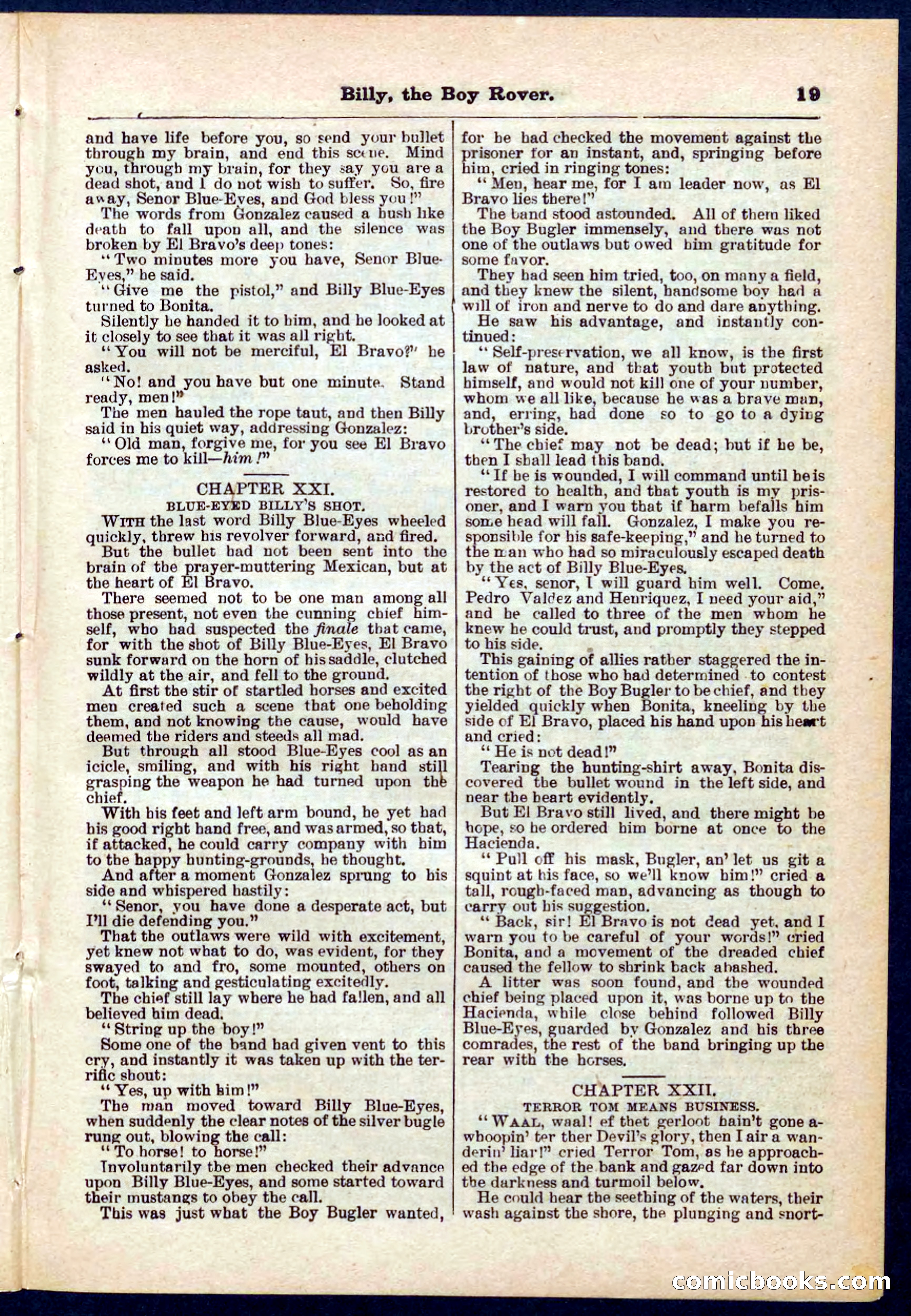 Beadle's Pocket Library No. 262 — page 19 of 32