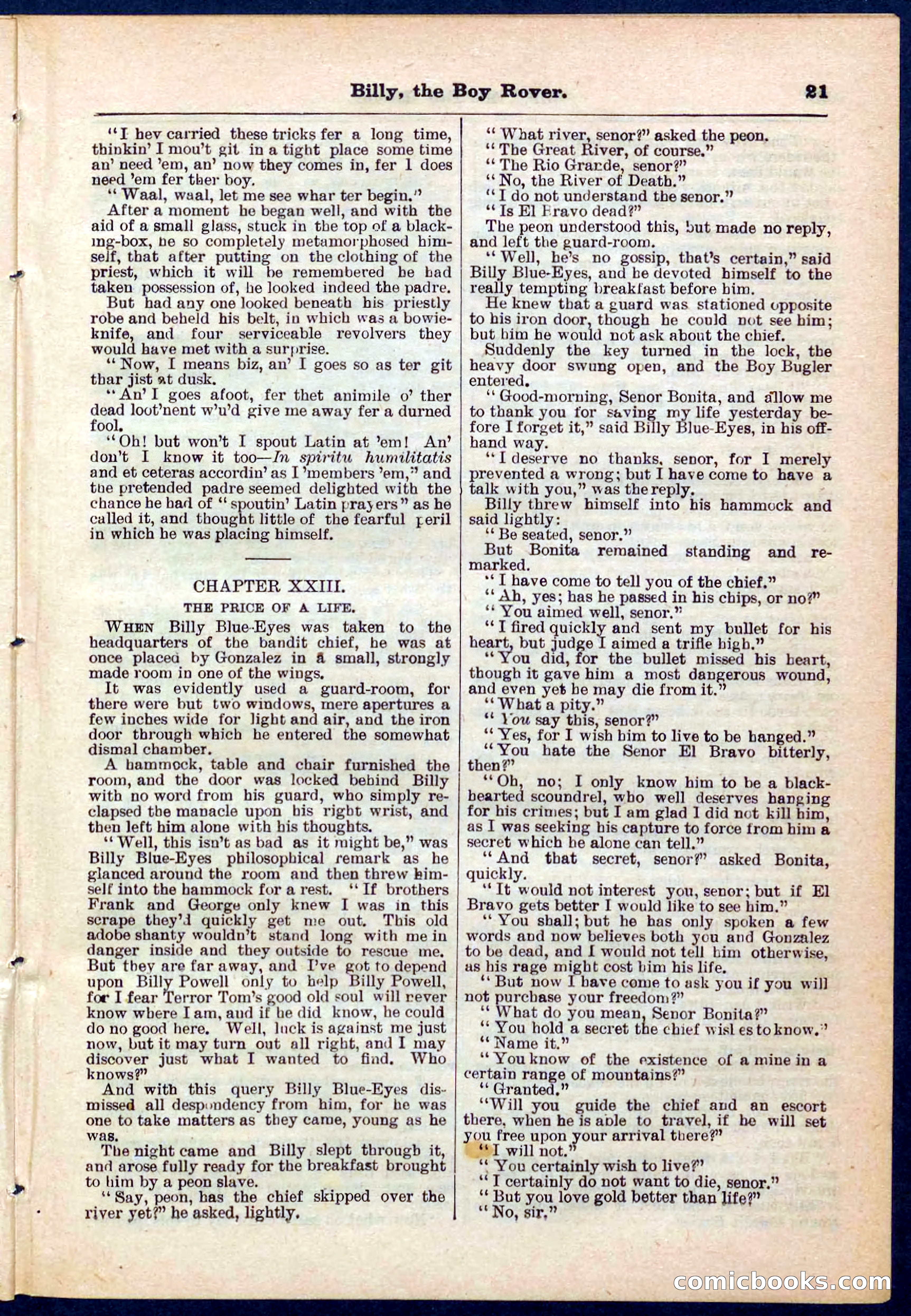 Beadle's Pocket Library No. 262 — page 21 of 32