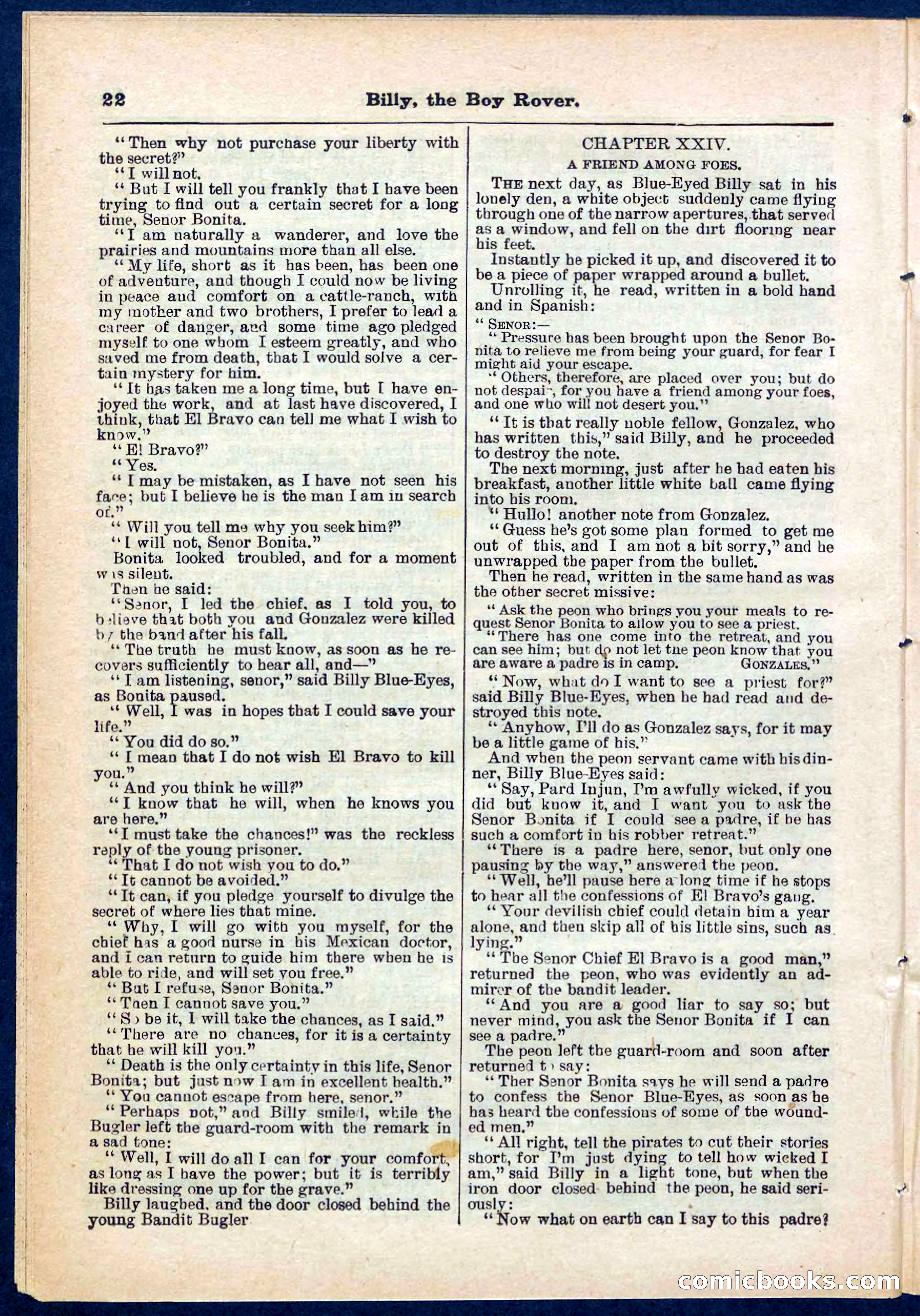 Beadle's Pocket Library No. 262 — page 22 of 32