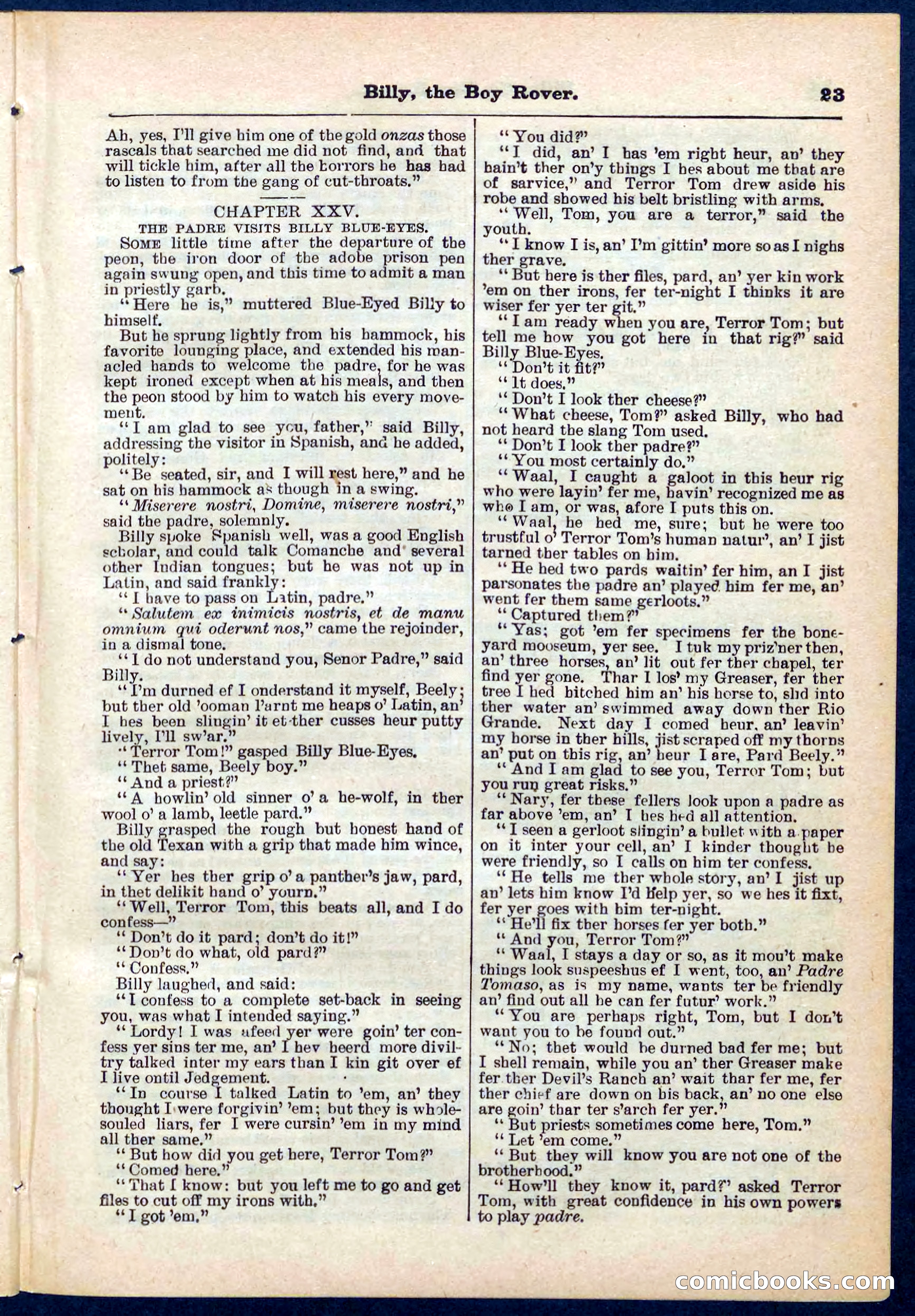 Beadle's Pocket Library No. 262 — page 23 of 32