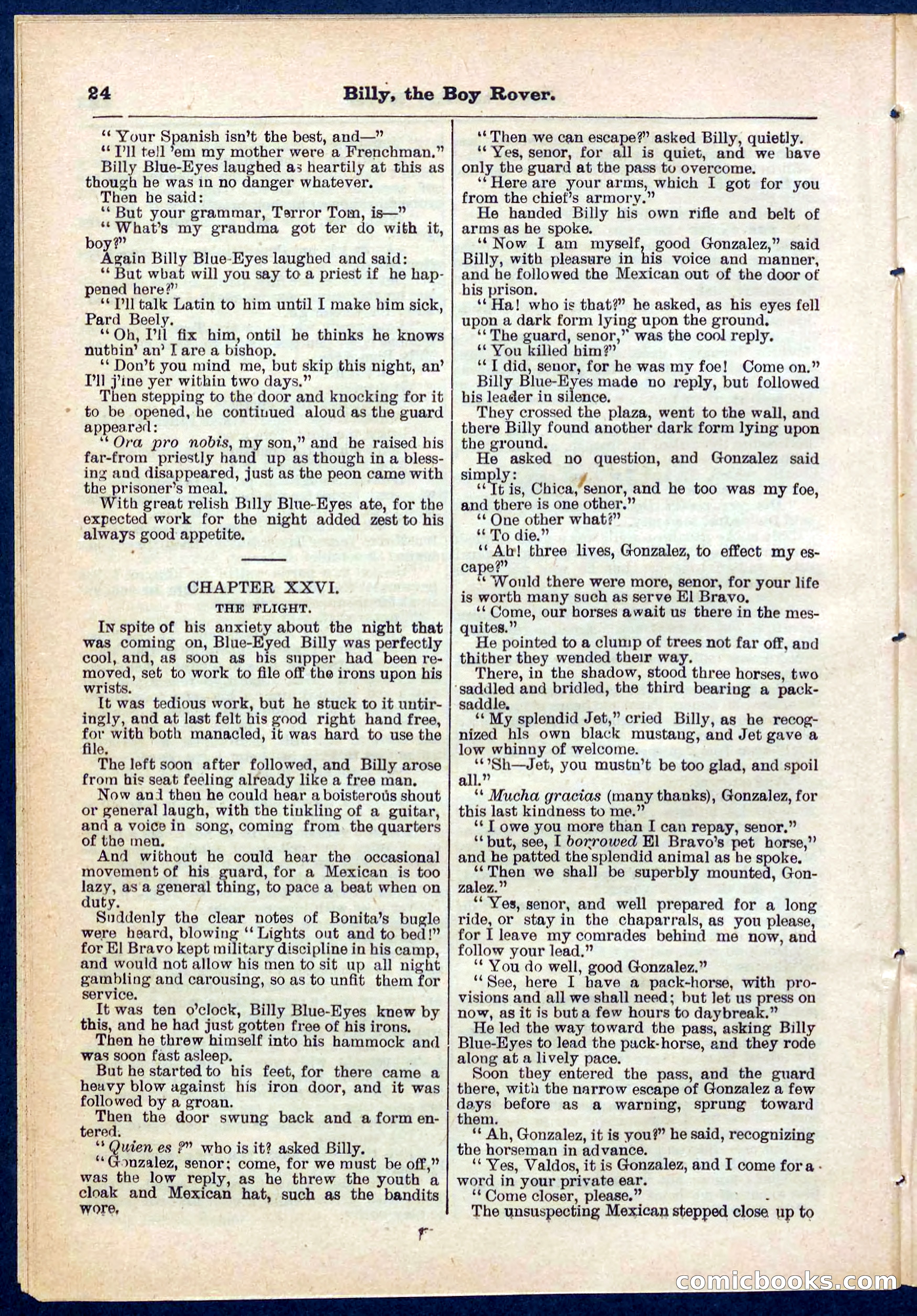 Beadle's Pocket Library No. 262 — page 24 of 32