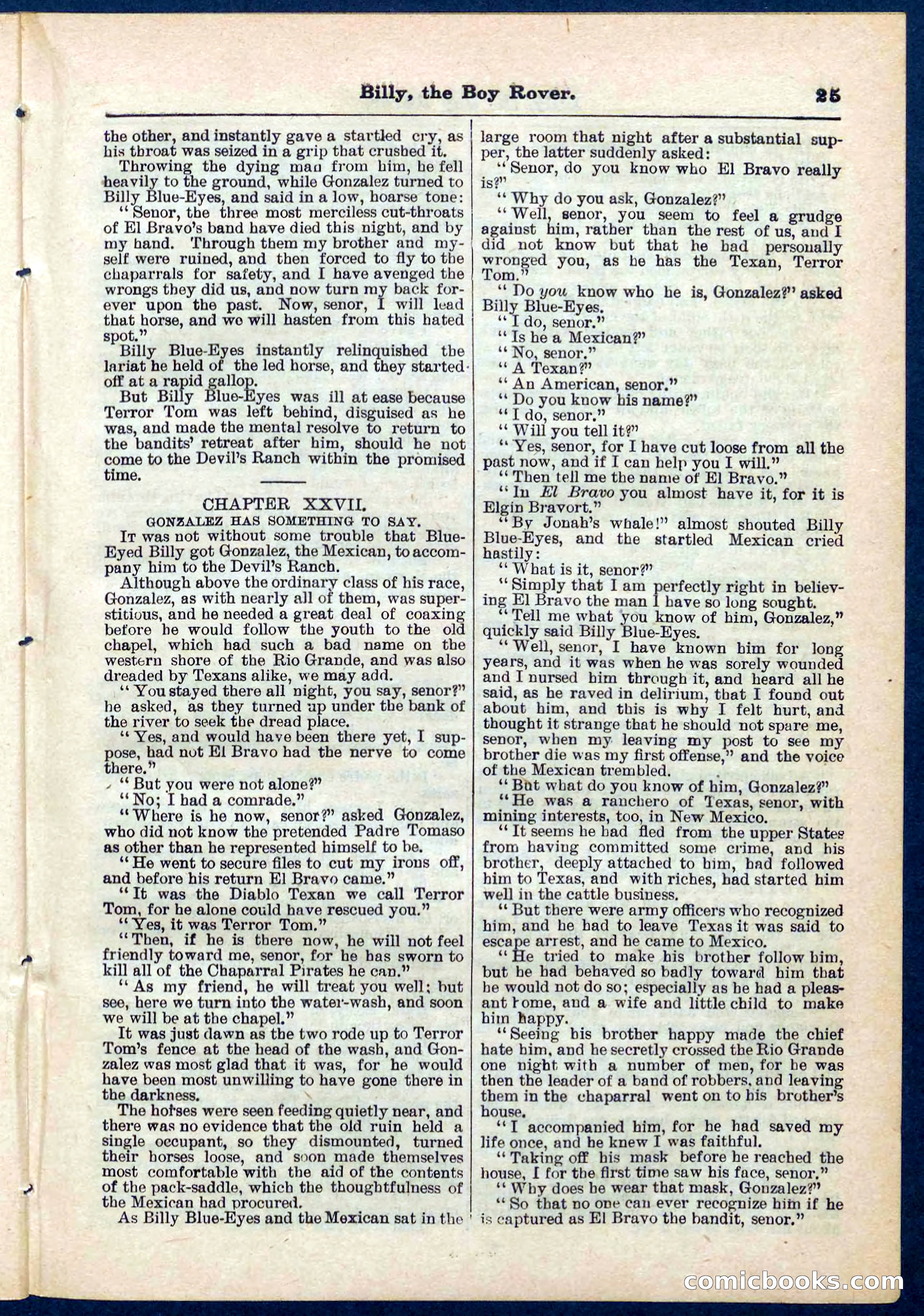 Beadle's Pocket Library No. 262 — page 25 of 32