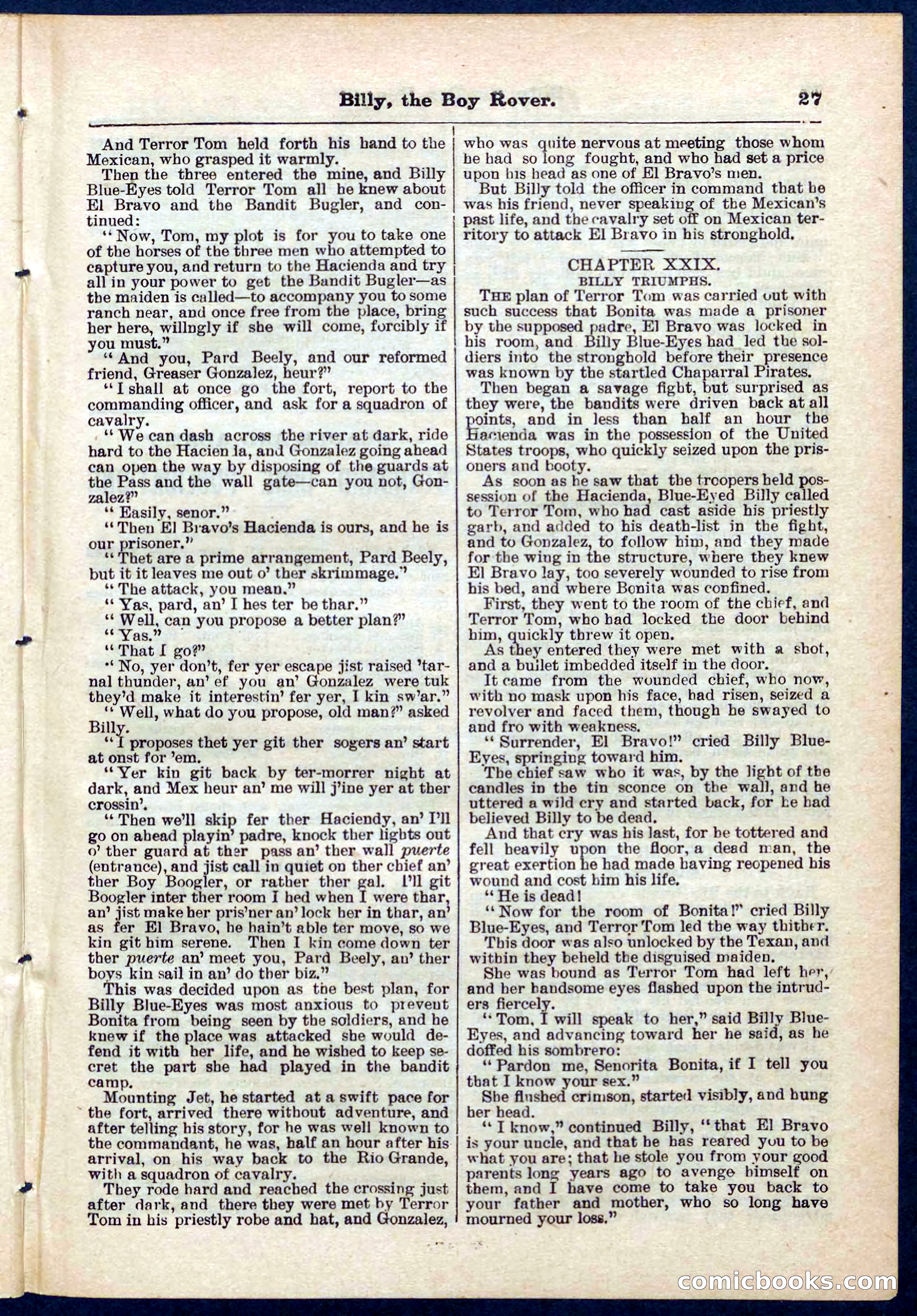 Beadle's Pocket Library No. 262 — page 27 of 32
