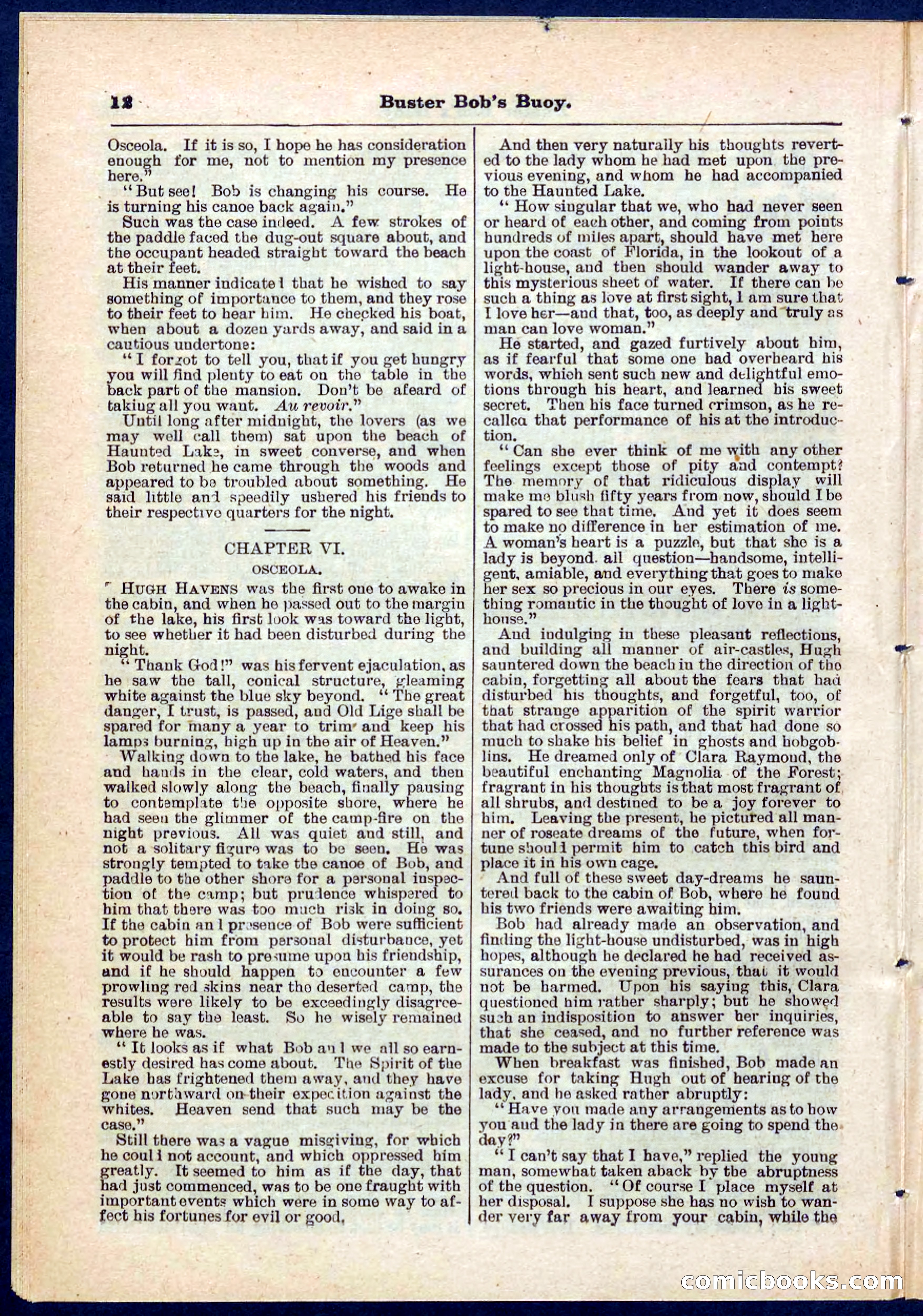 Beadle's Pocket Library No. 263 — page 12 of 32