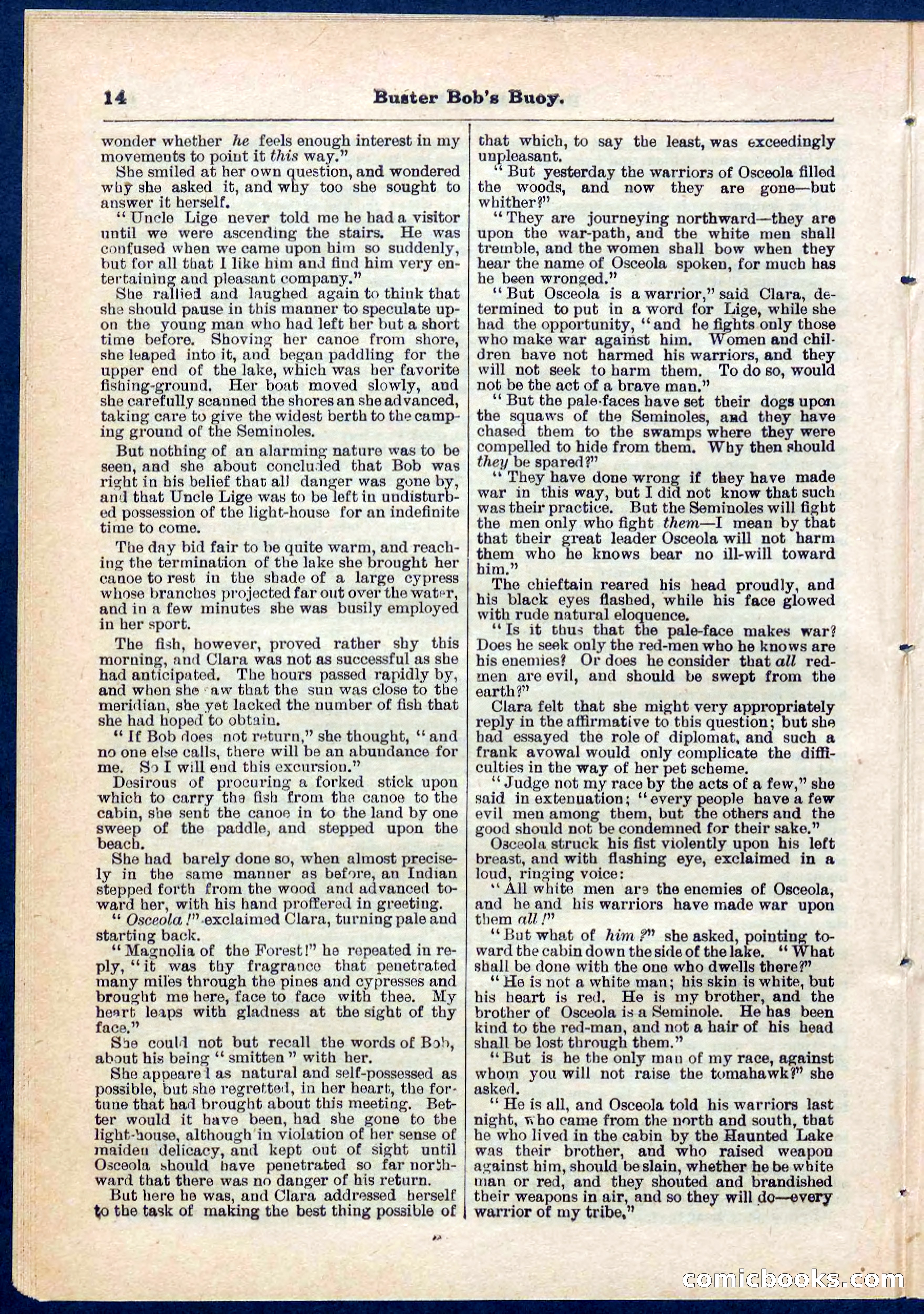 Beadle's Pocket Library No. 263 — page 14 of 32