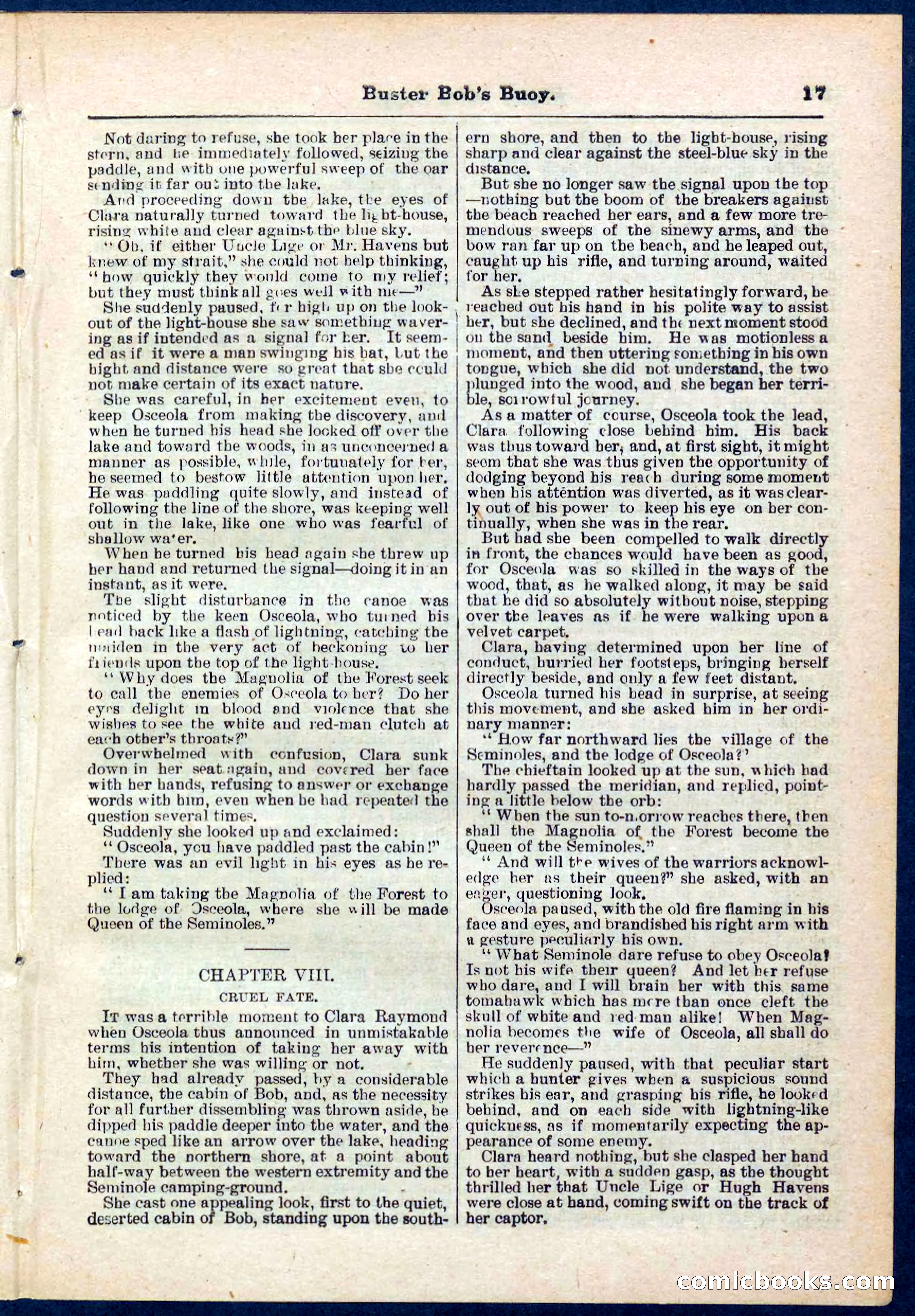 Beadle's Pocket Library No. 263 — page 17 of 32