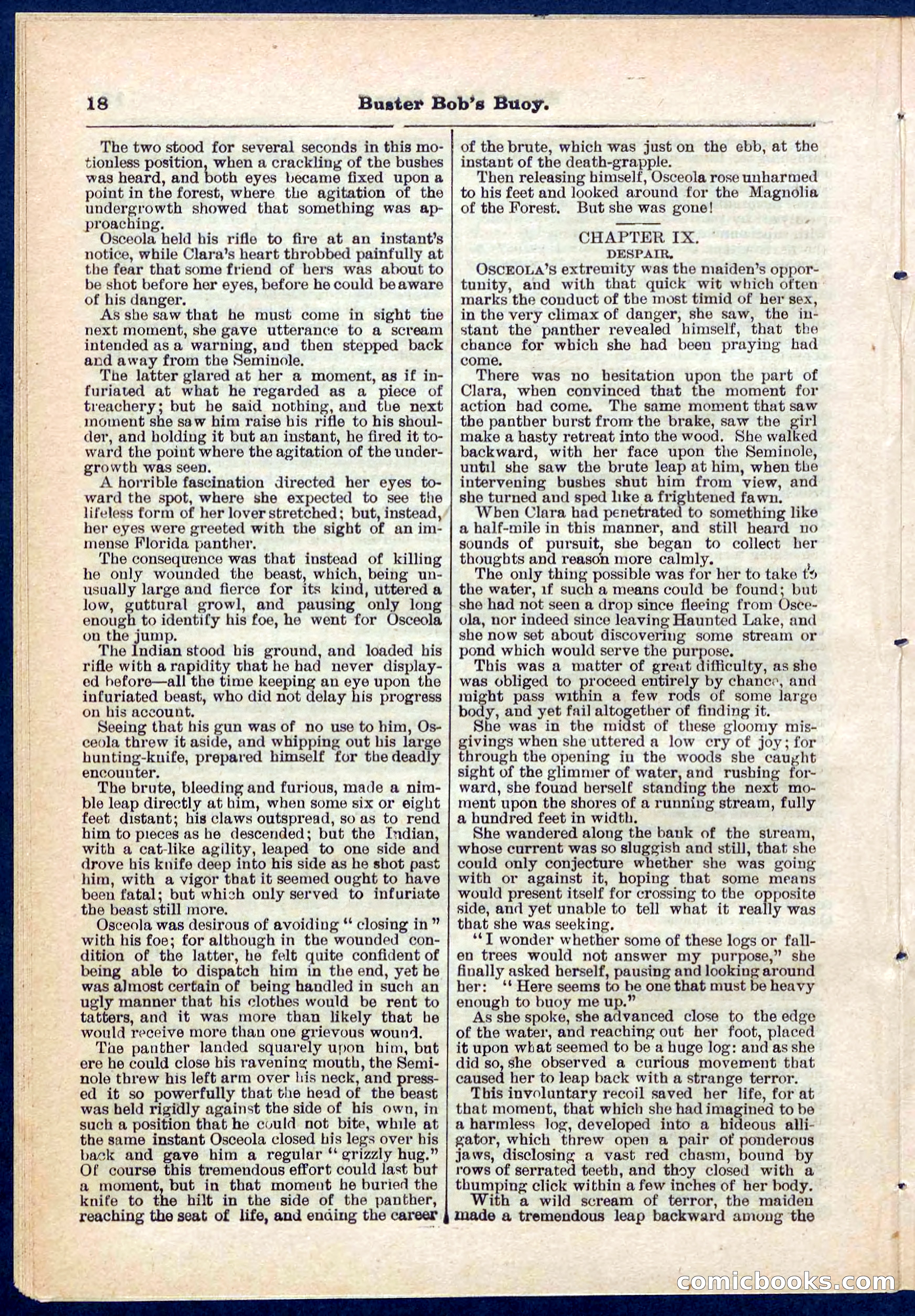 Beadle's Pocket Library No. 263 — page 18 of 32