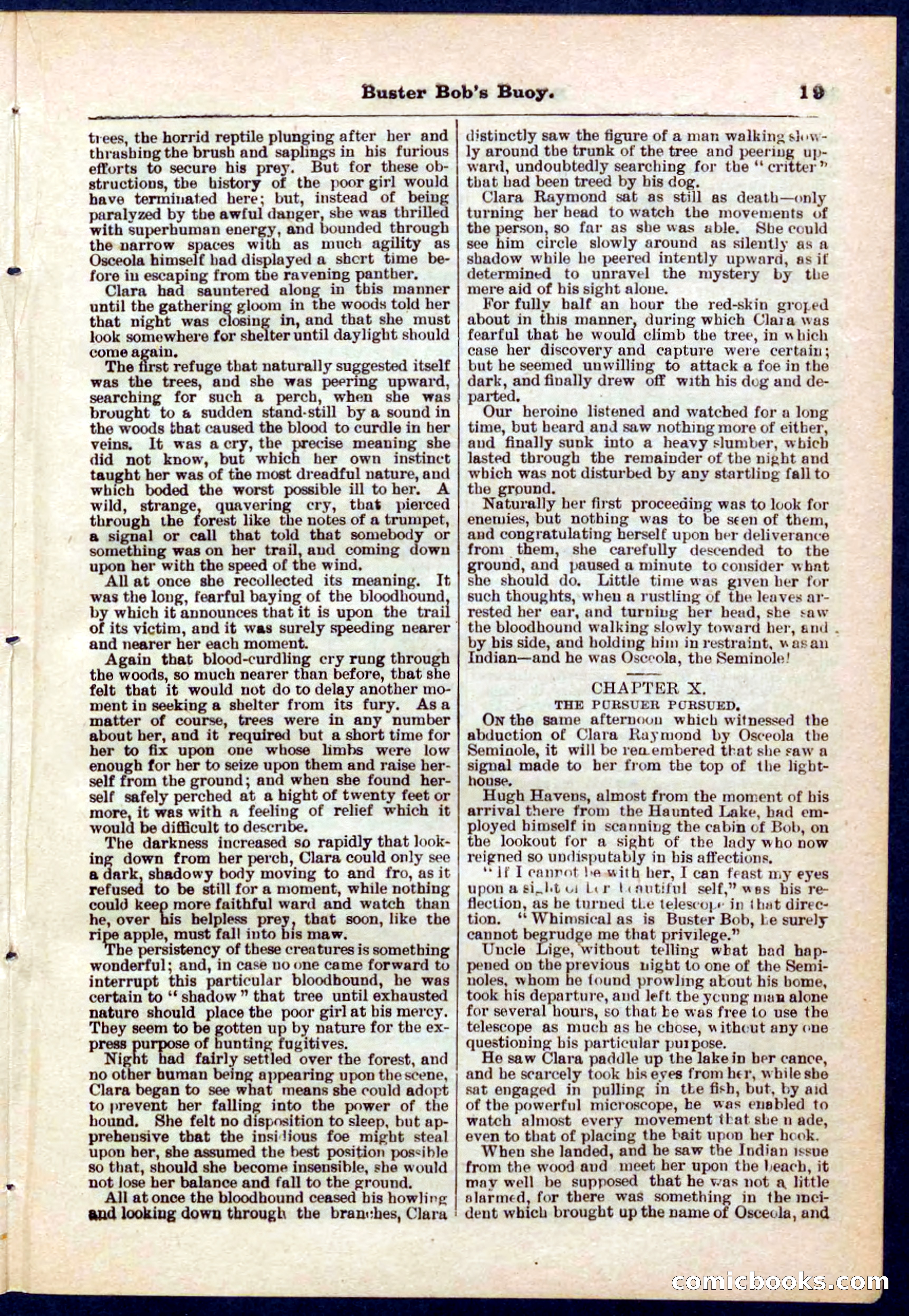 Beadle's Pocket Library No. 263 — page 19 of 32