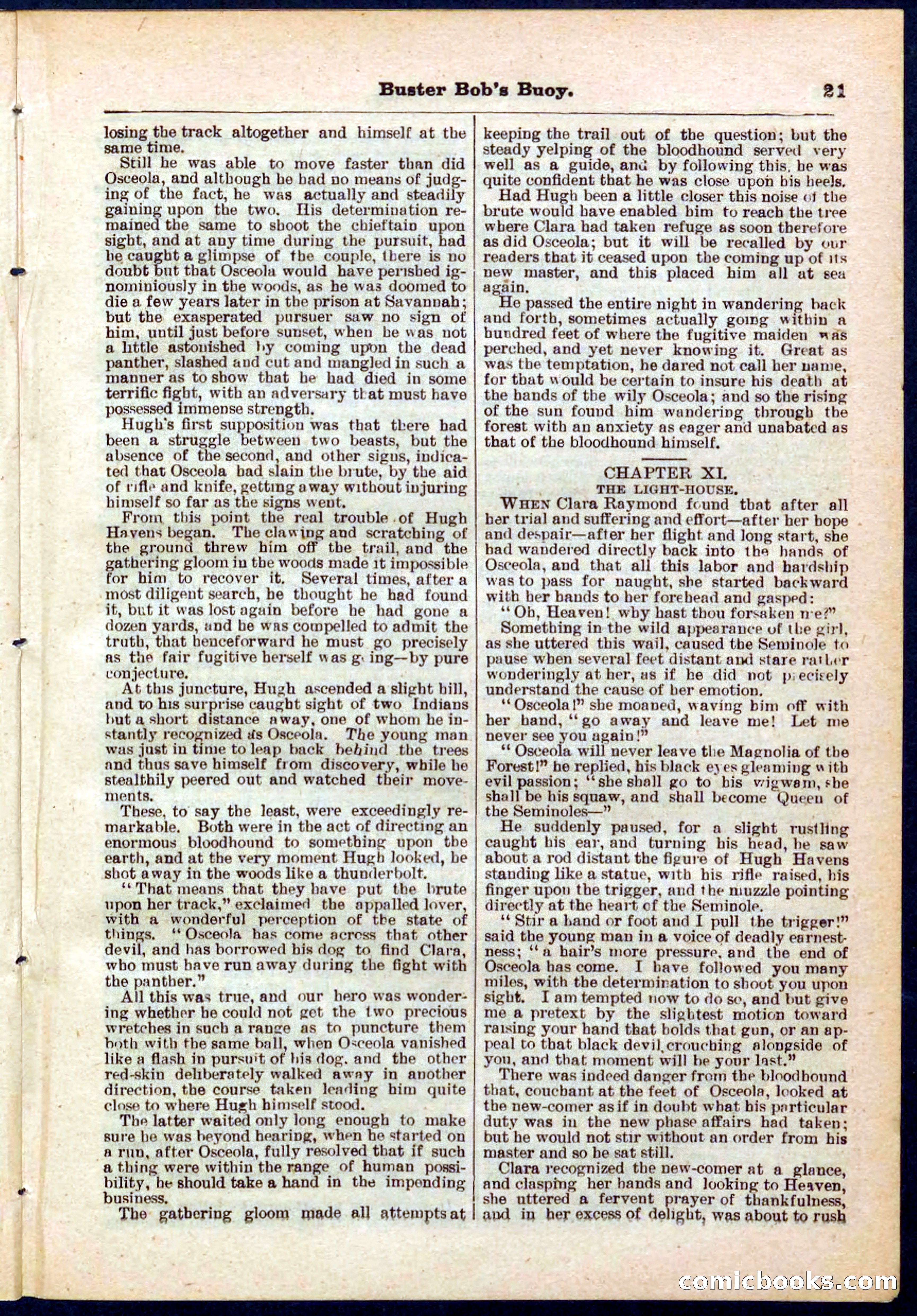 Beadle's Pocket Library No. 263 — page 21 of 32