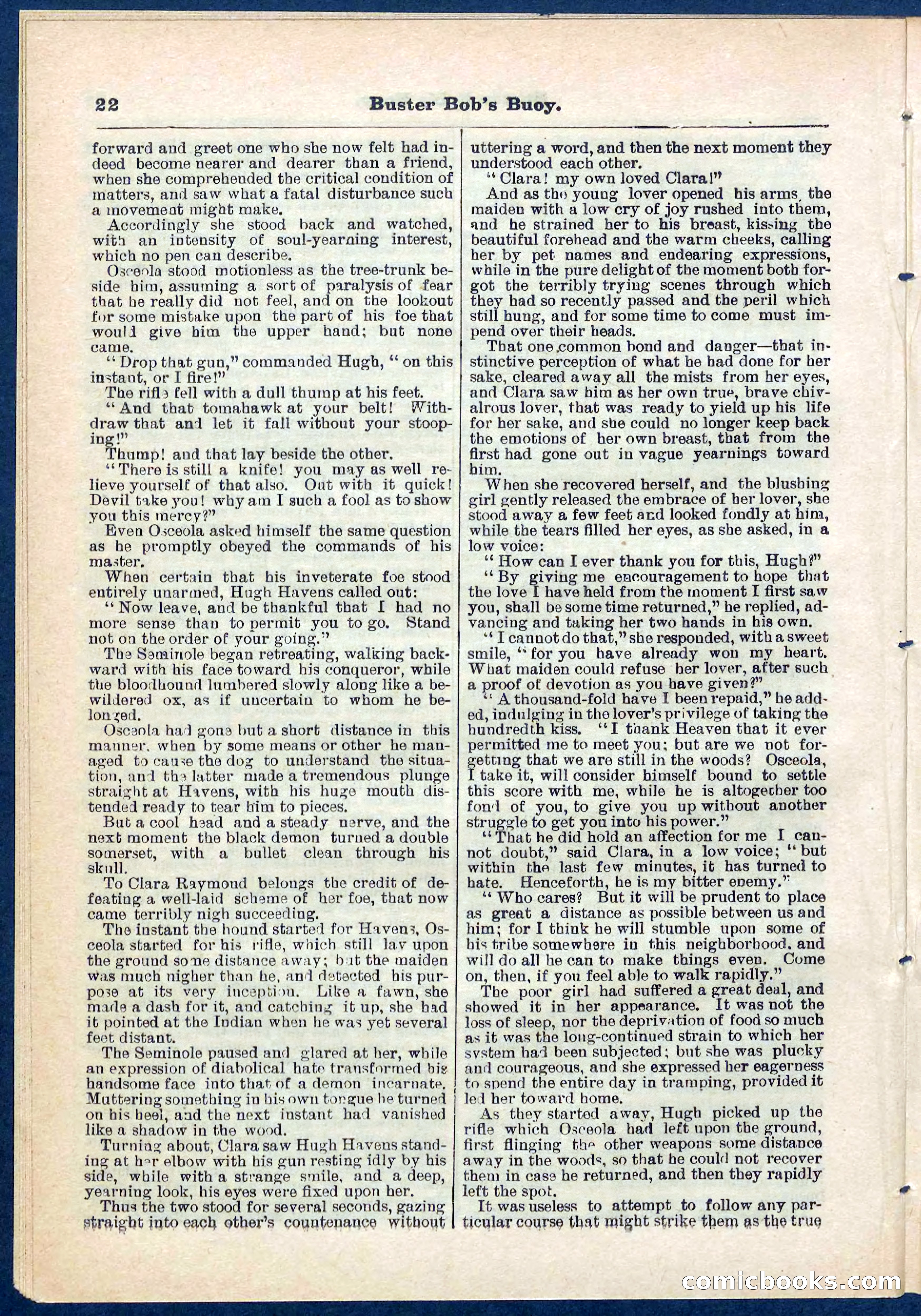 Beadle's Pocket Library No. 263 — page 22 of 32