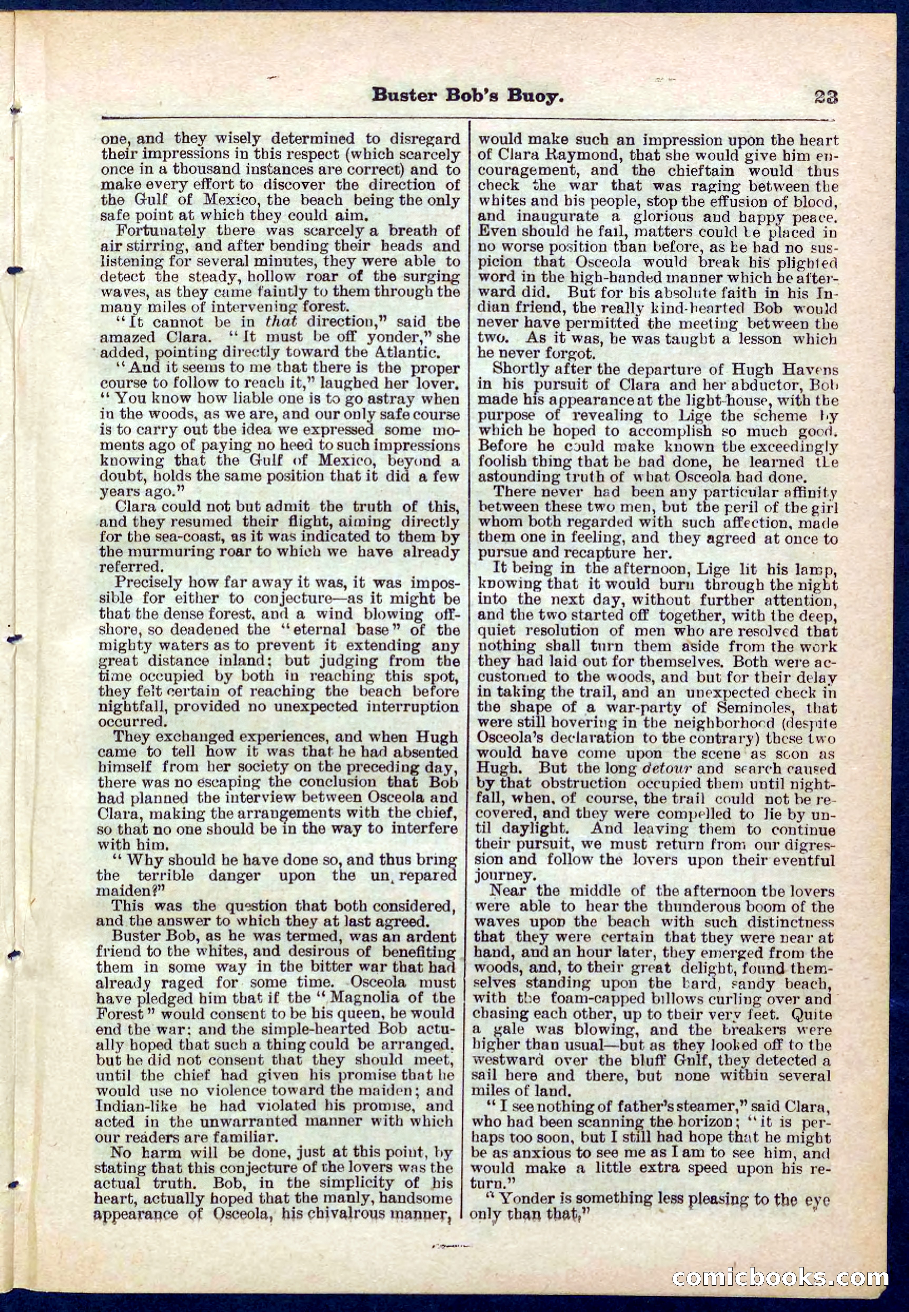 Beadle's Pocket Library No. 263 — page 23 of 32